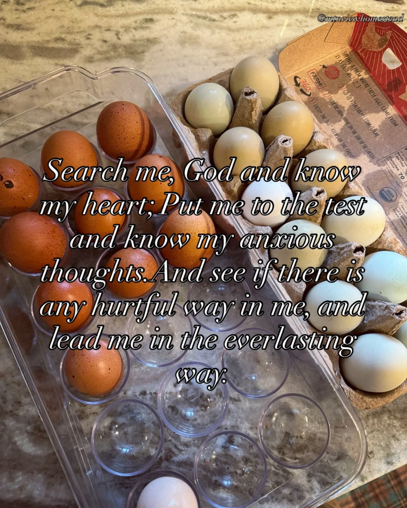 This verse reminds me that we all have blind spots. We can&rsquo;t always see our own anxious patterns or harmful habits. That&rsquo;s why we need God, and we need people&mdash;voices that help us reflect, grow, and walk a healthier path together. I&
