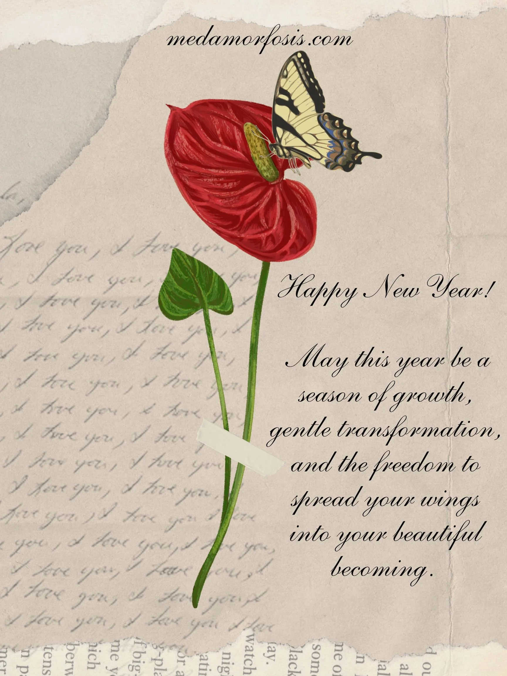 Beautiful Becoming 🪽