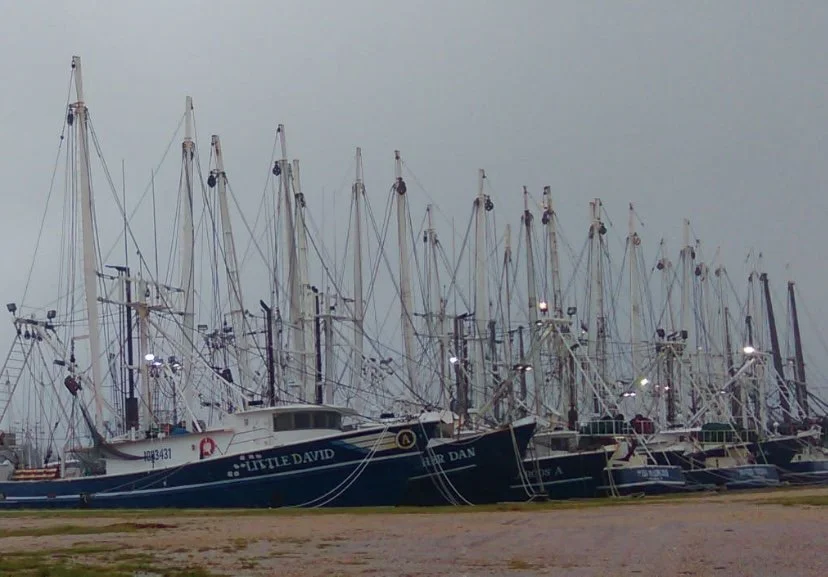 The fleet of commercial vessels today.PNG