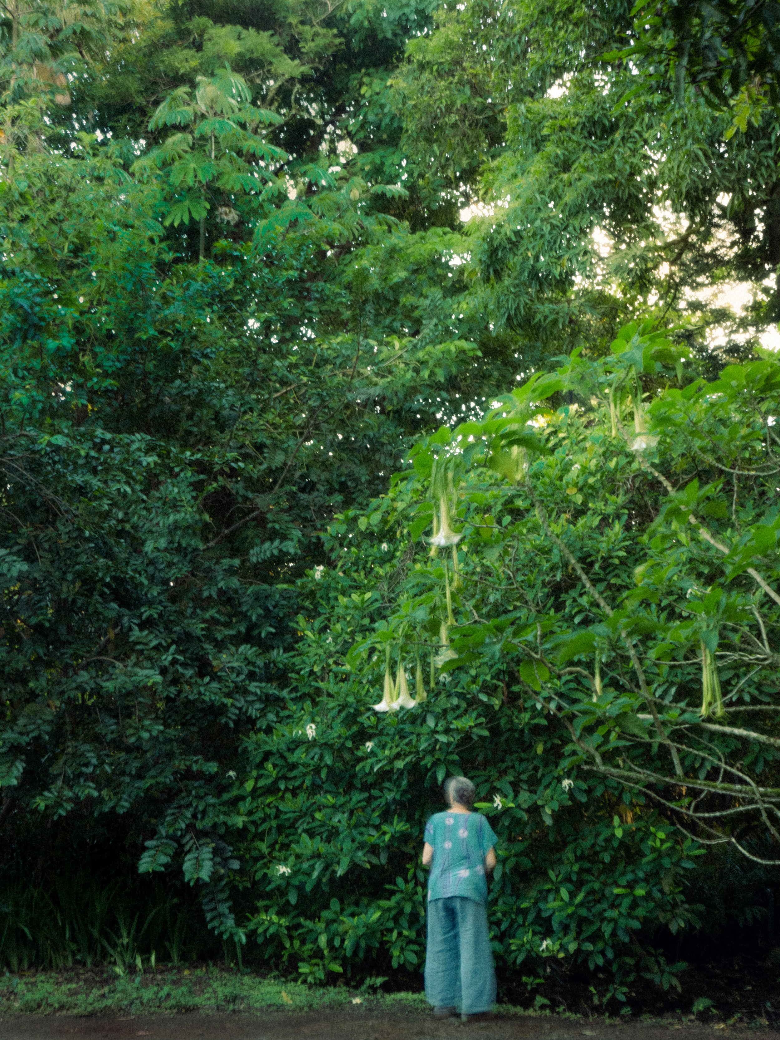 Grandma in the Green-2-Edit-3.jpg