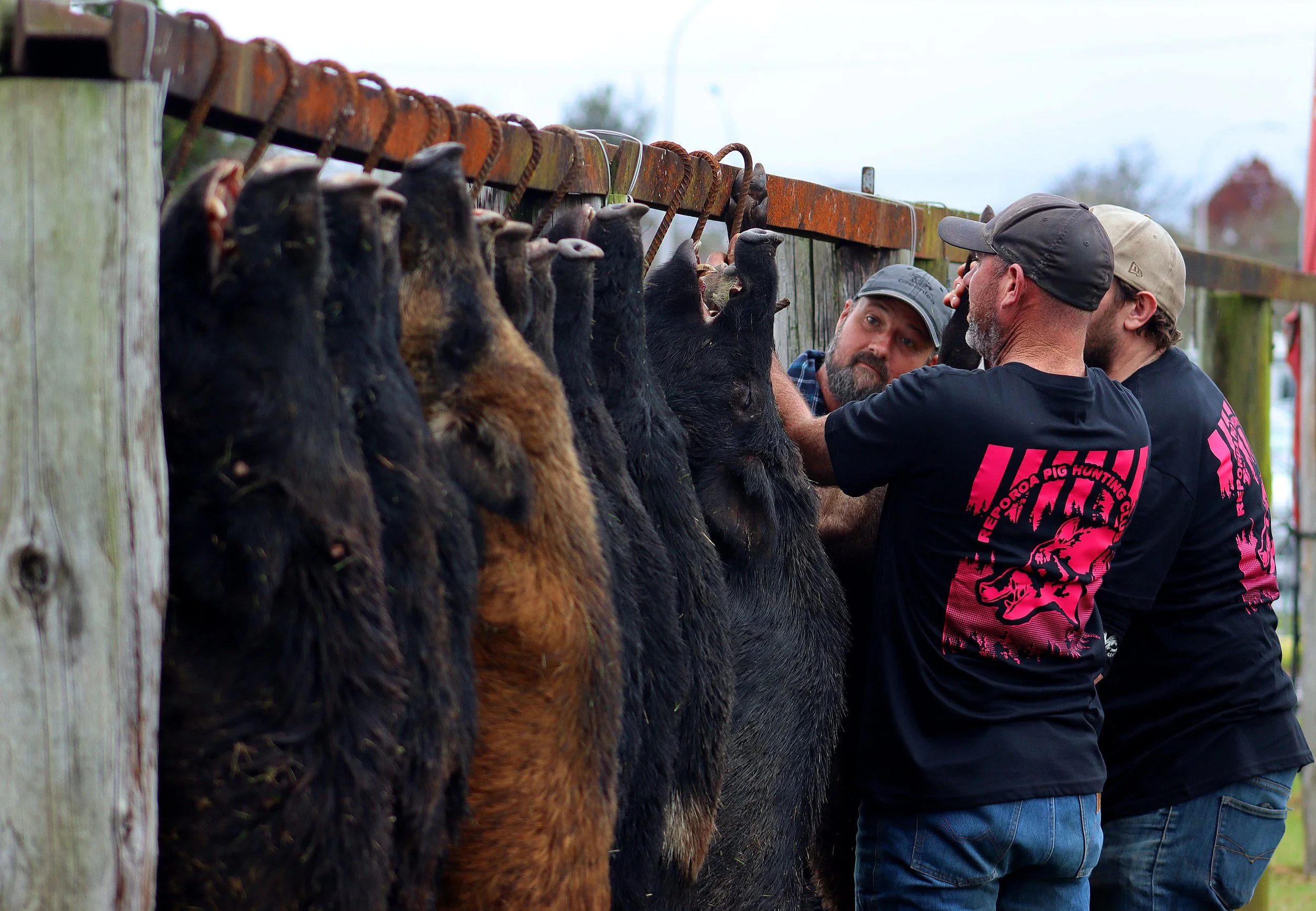 Pests outpace farmer efforts