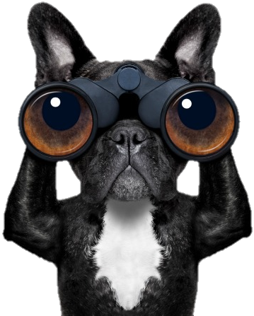 Planning to Purchase Property: What You Need to Know