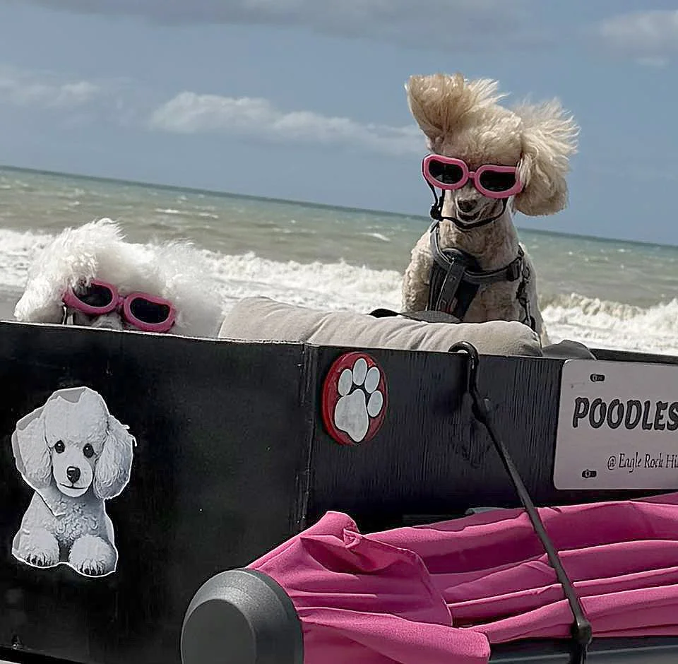 Gracie and Abigail.jpg