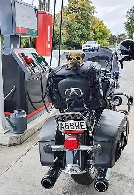 Head of security.jpg