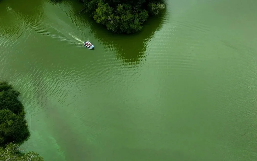 It’s not easy being green