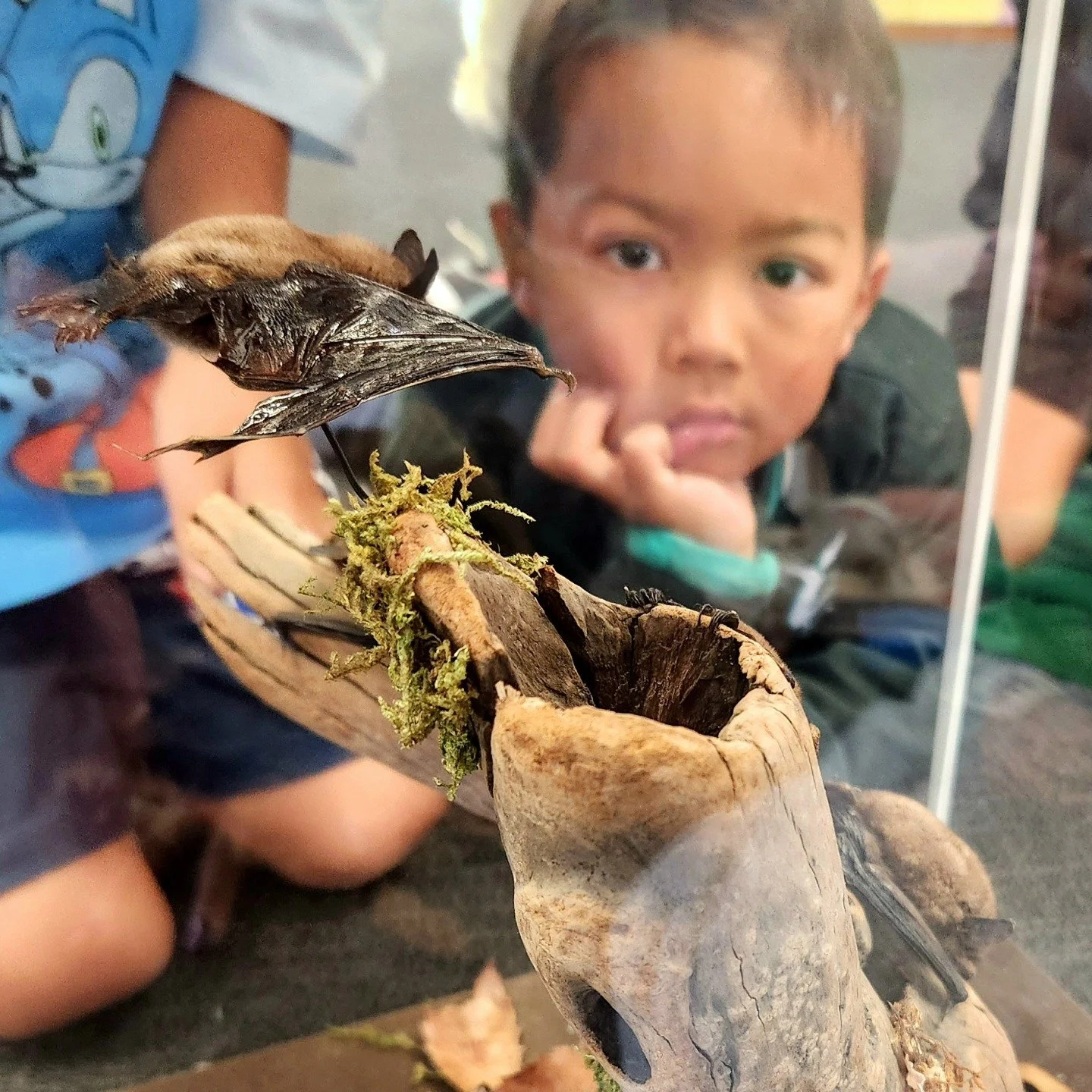 Going in to bat for the little guy