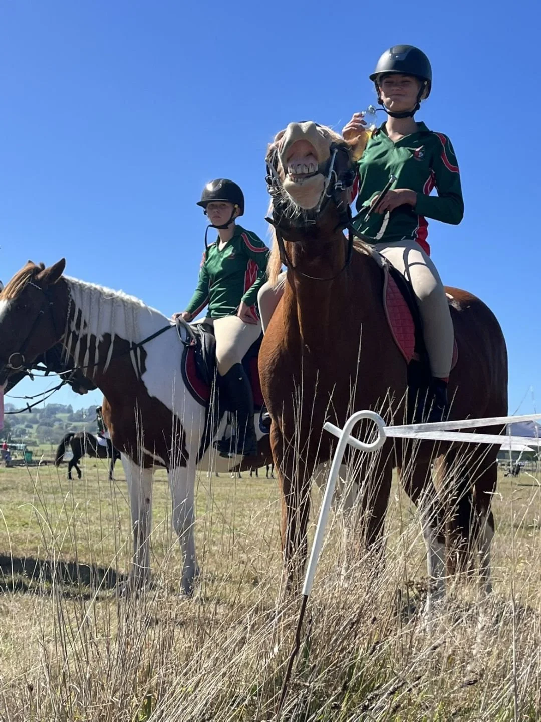 two horses.jpg