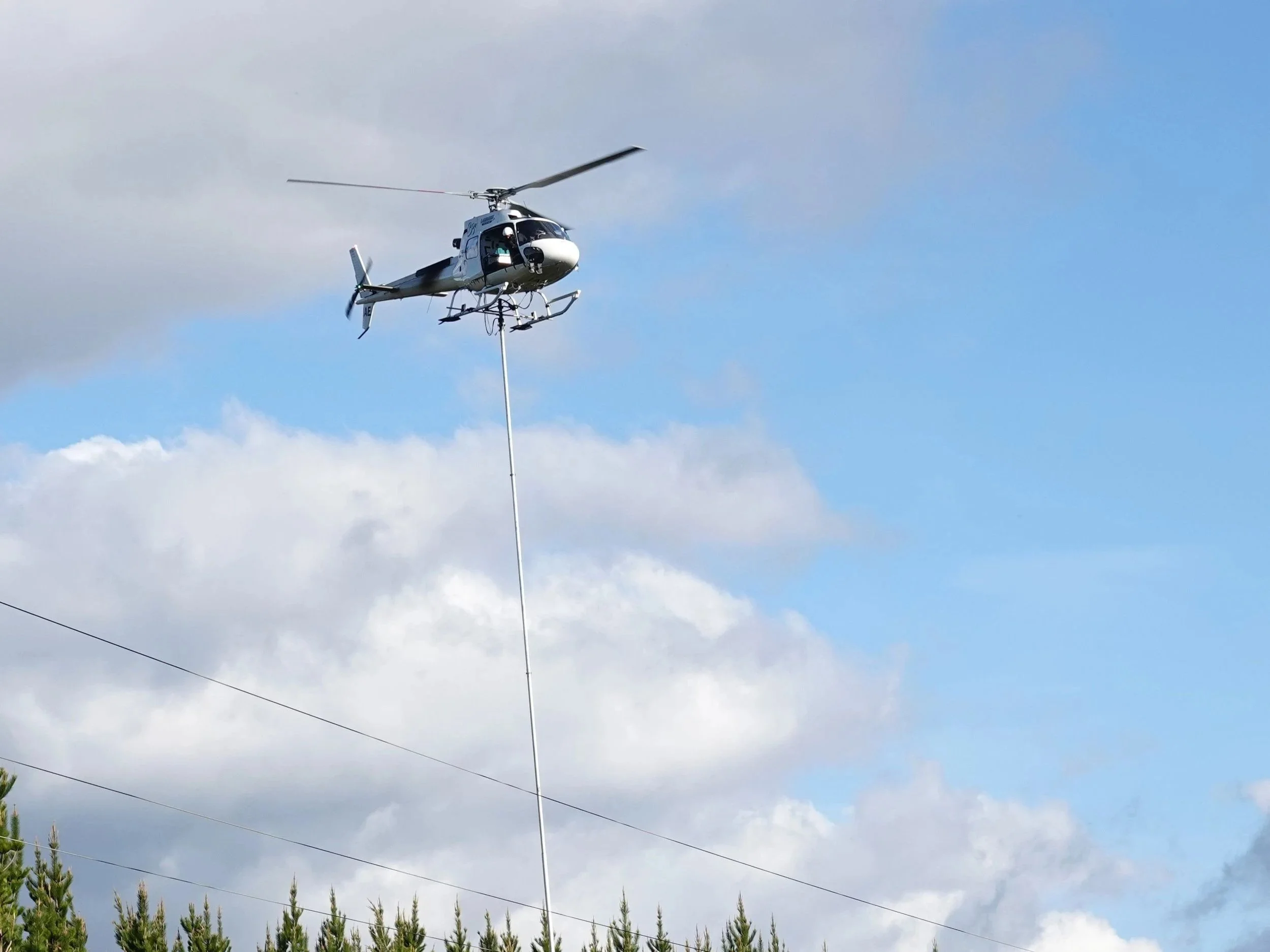 Tree-mendous use of a chopper