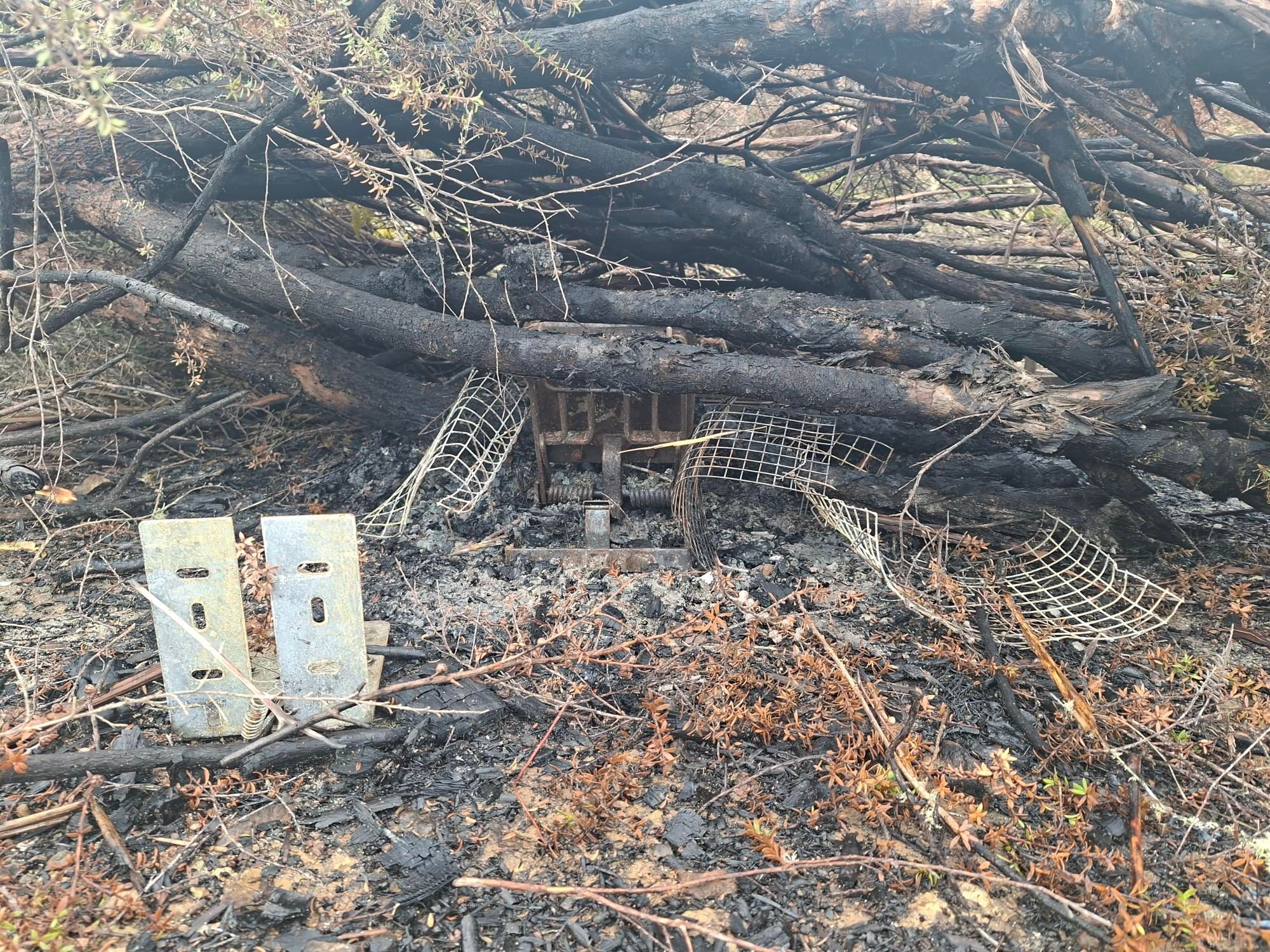 Traps targeted by vandals