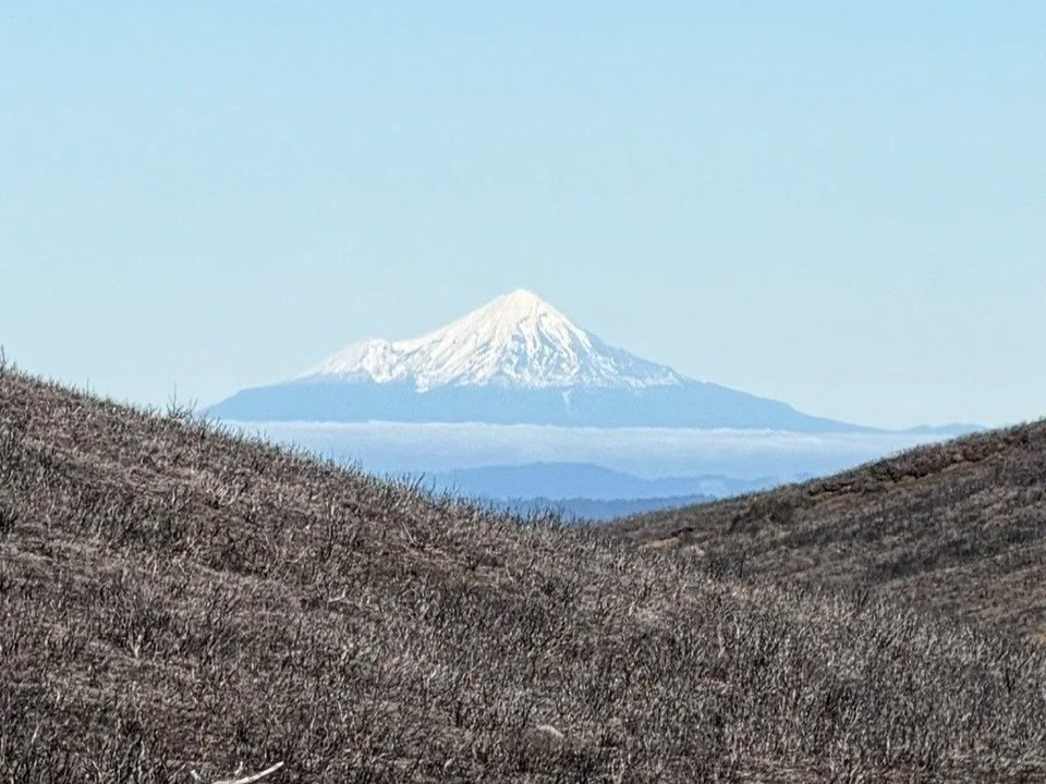 Volcanic violence and human loss