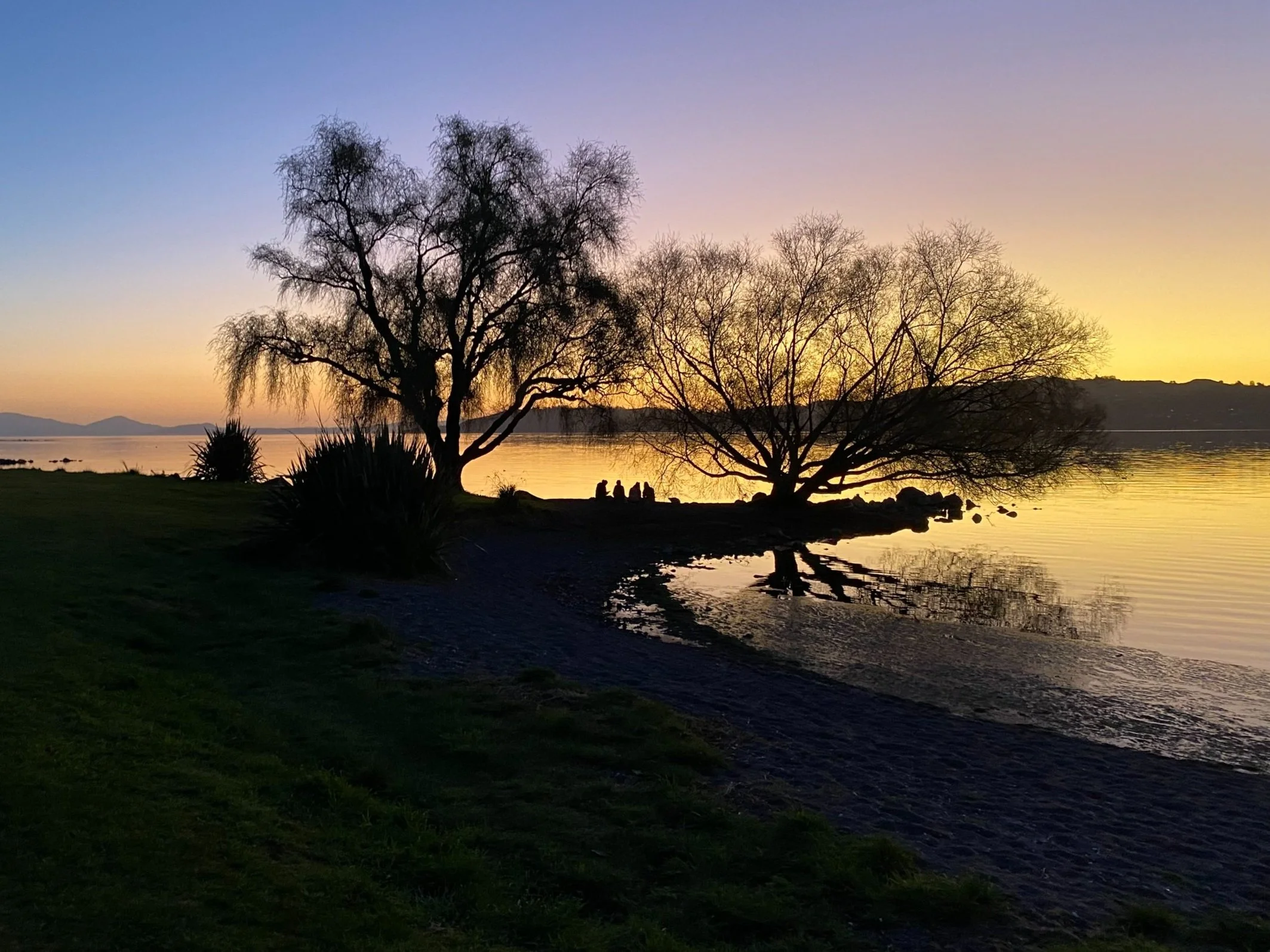 OPINION: Māori Wards means a better democracy
