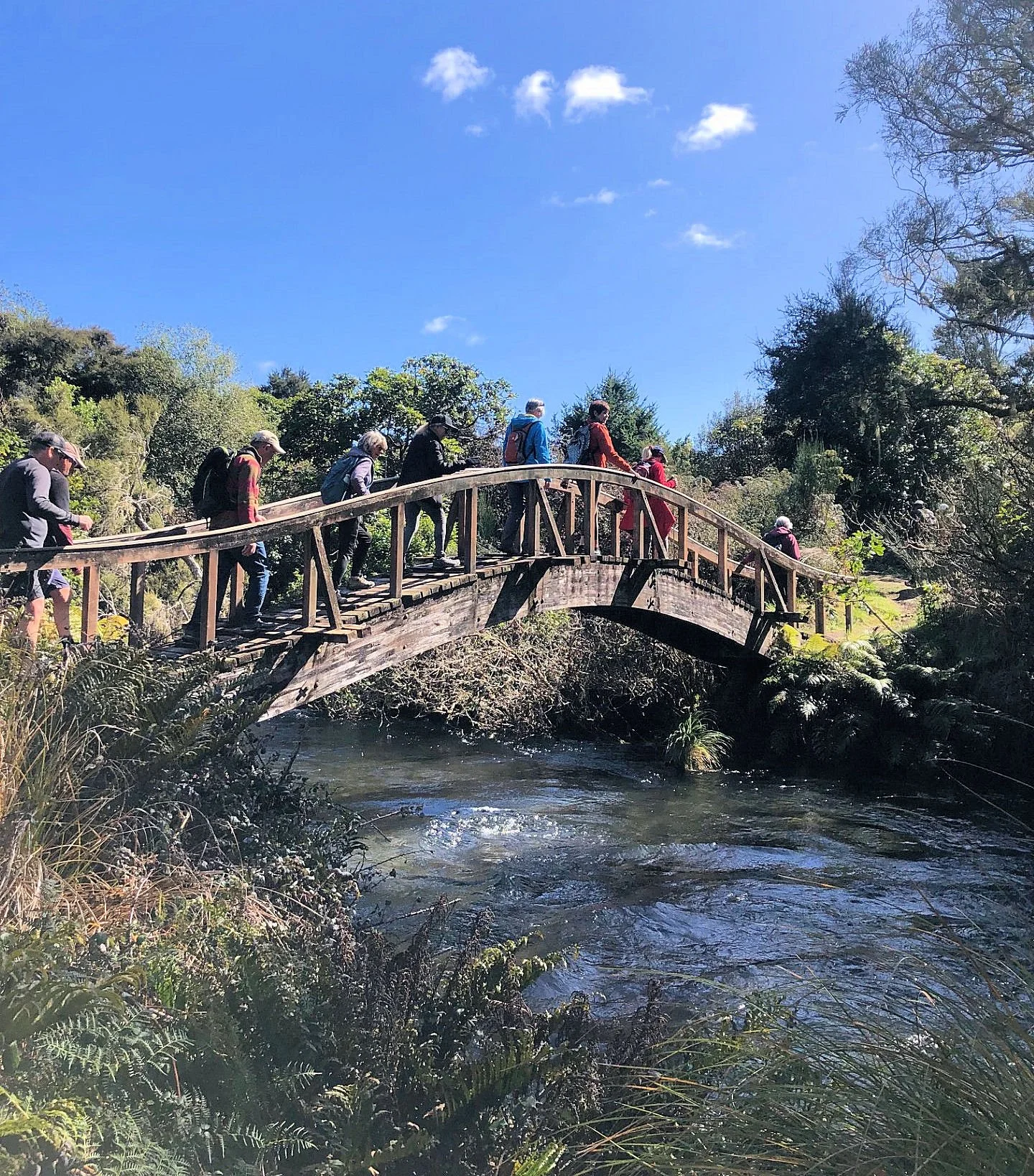 Waitahanui, pretty as a picture