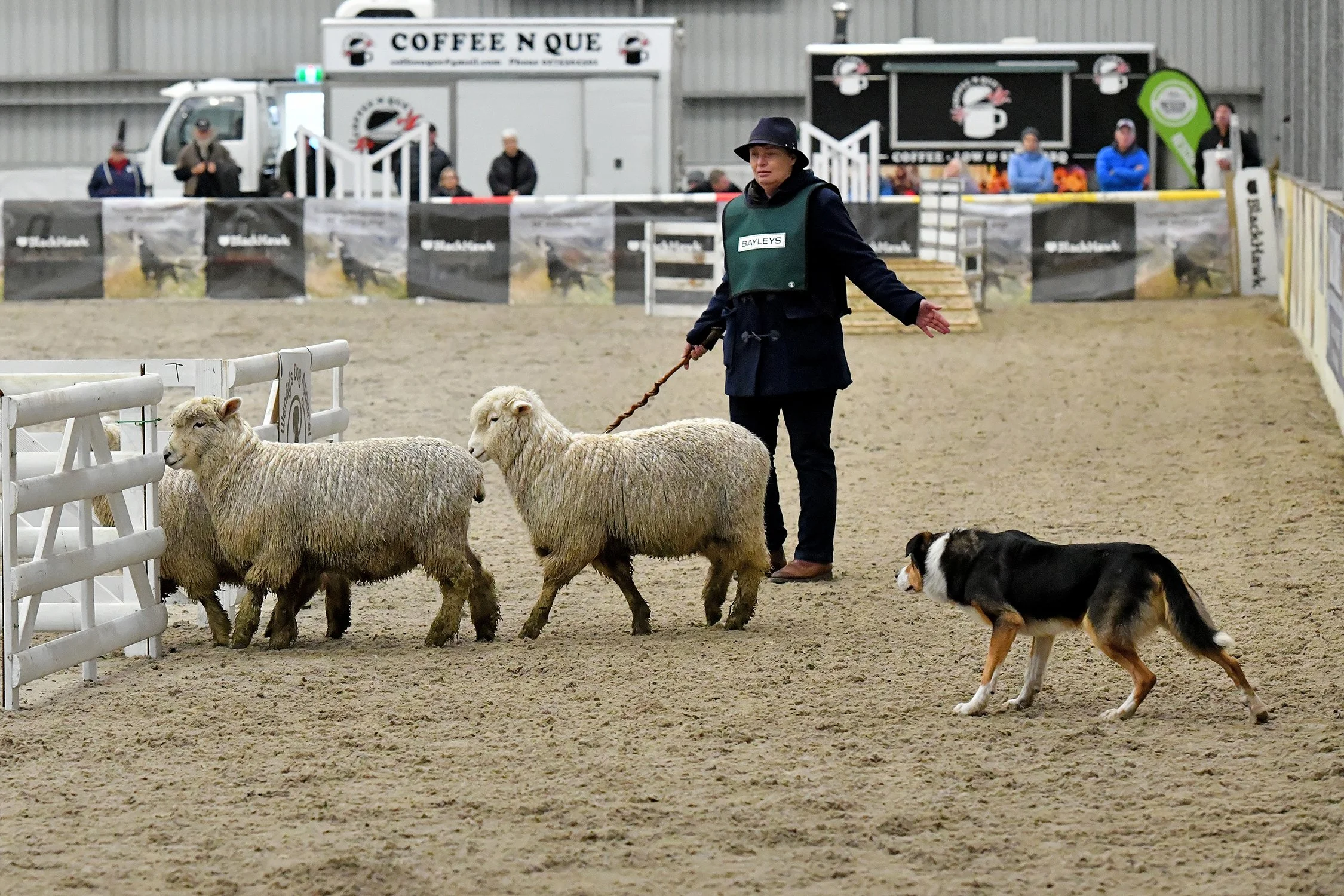 Girls lead the pack at dog trials