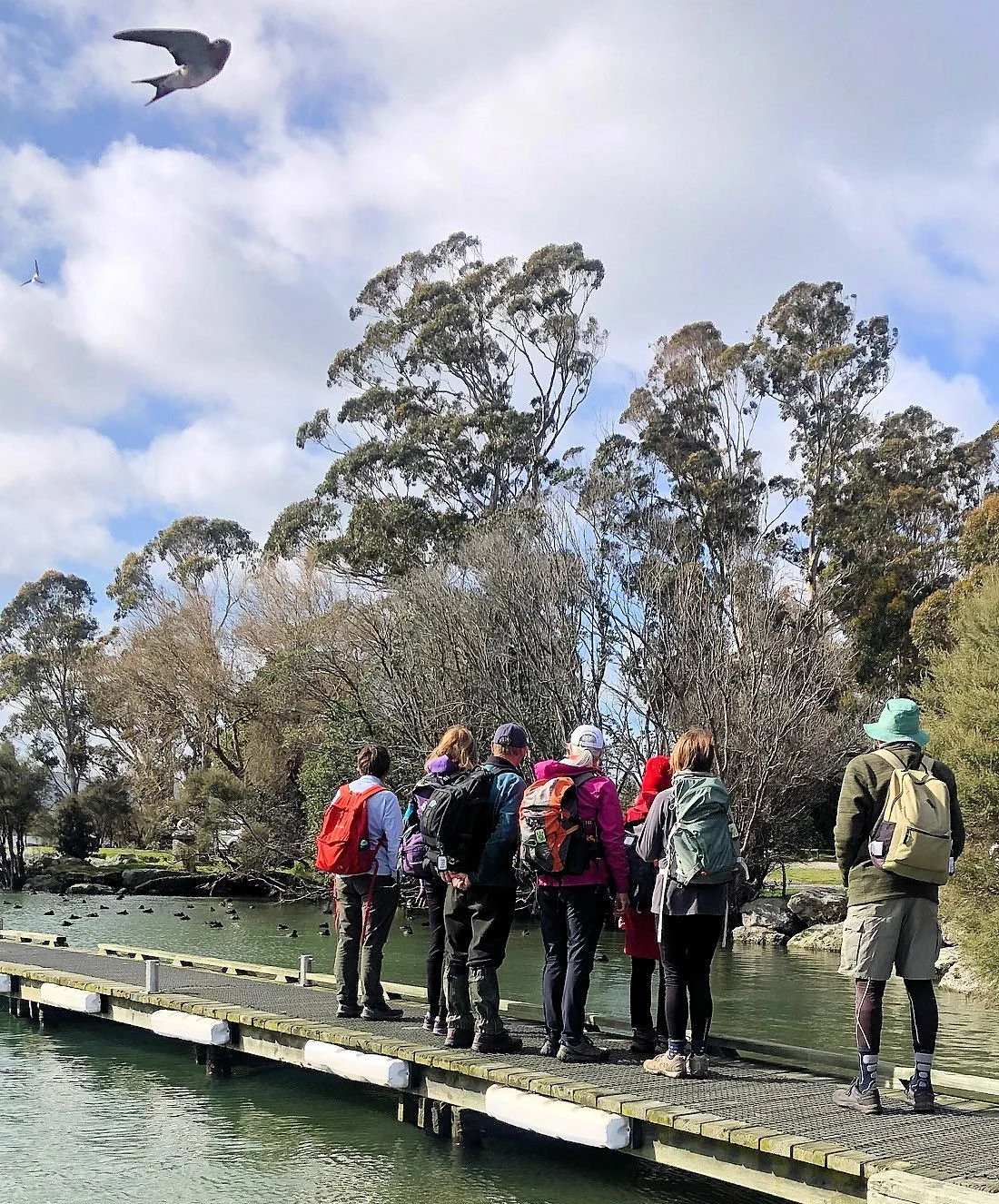 Rotorua in the spring