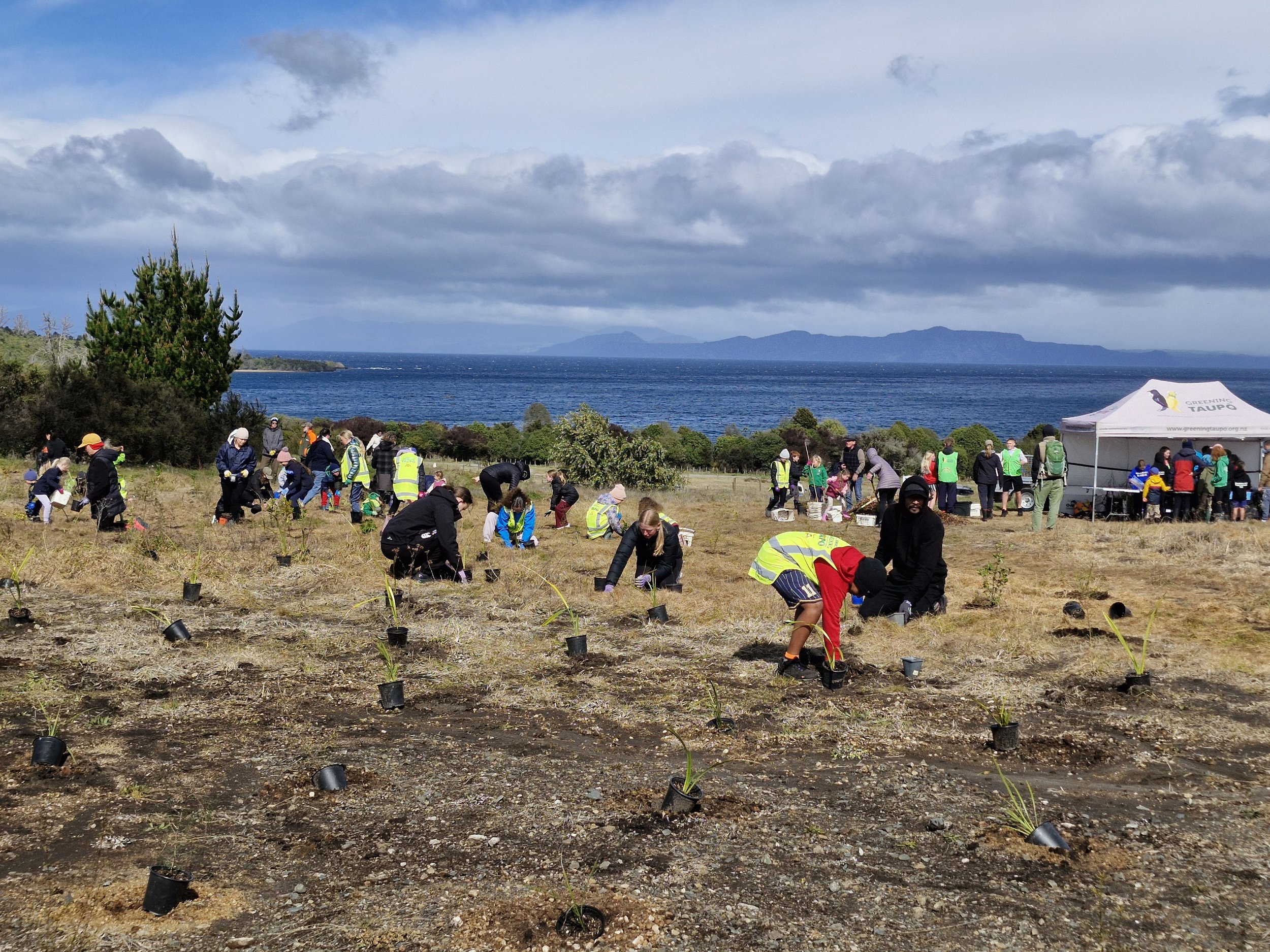 Engines rumbling for green machine
