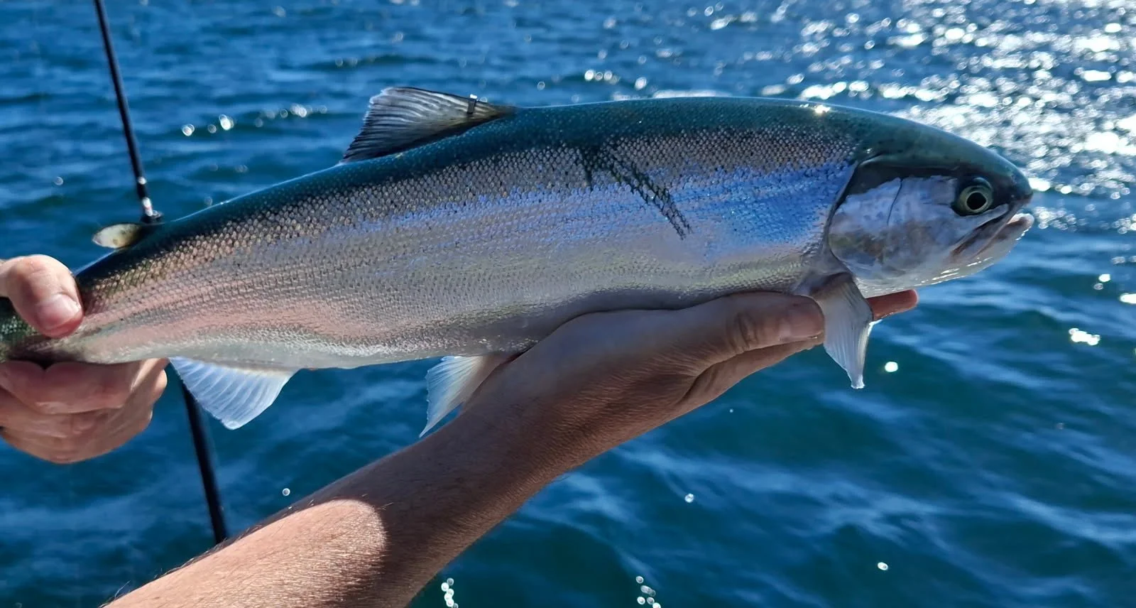 What’s on in the Taupō District 