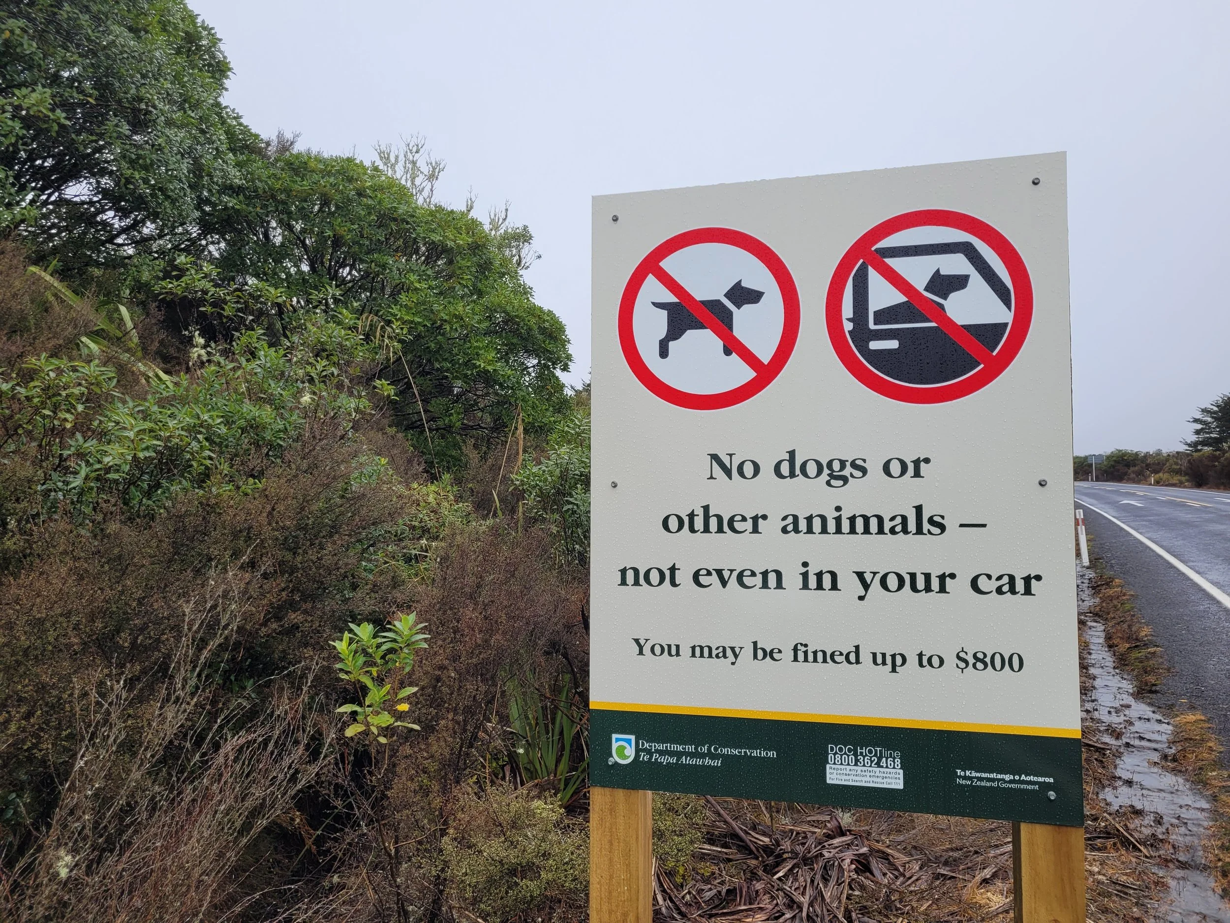 National park dog photo earns owner $400 fine