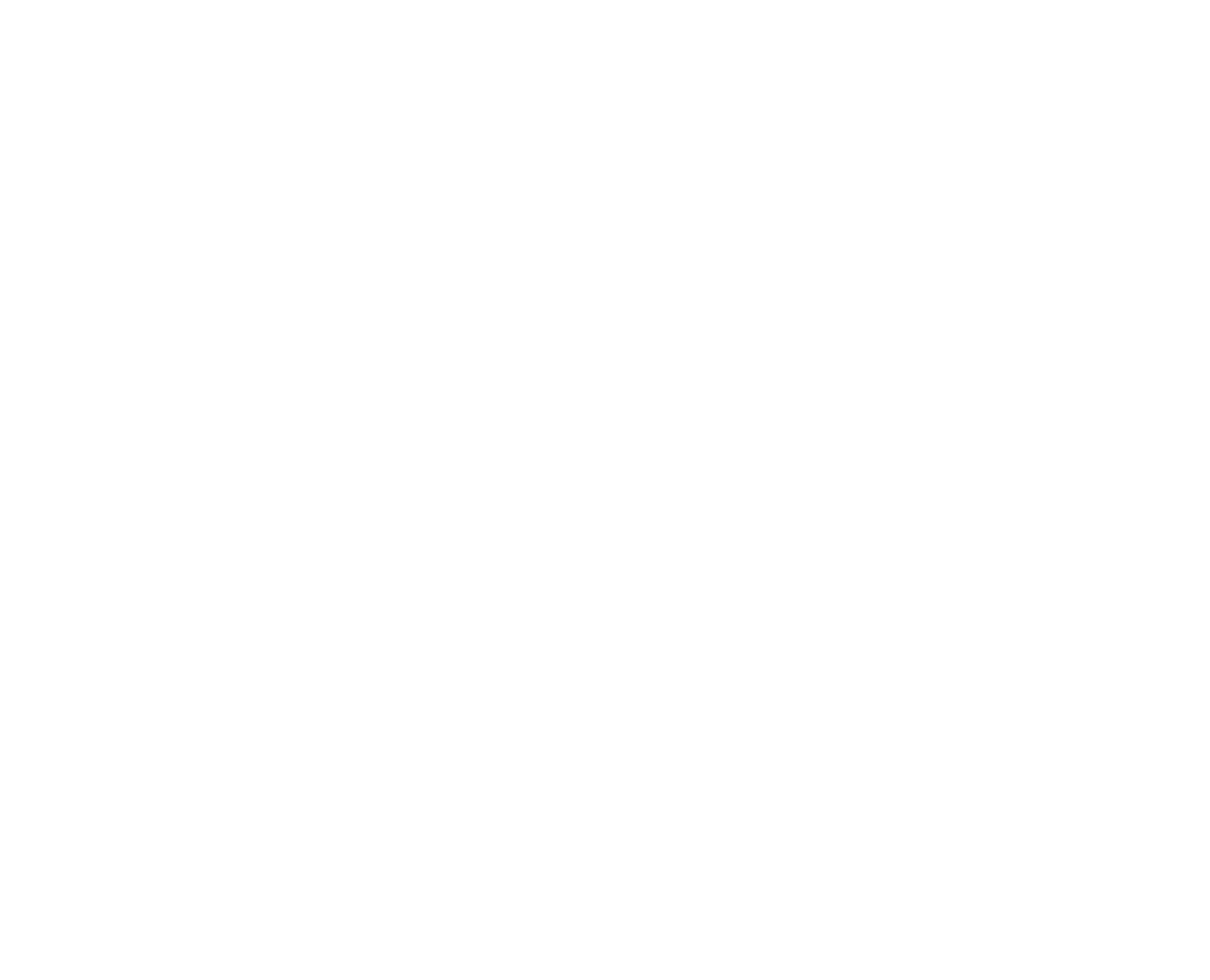 Velocity Productions logo