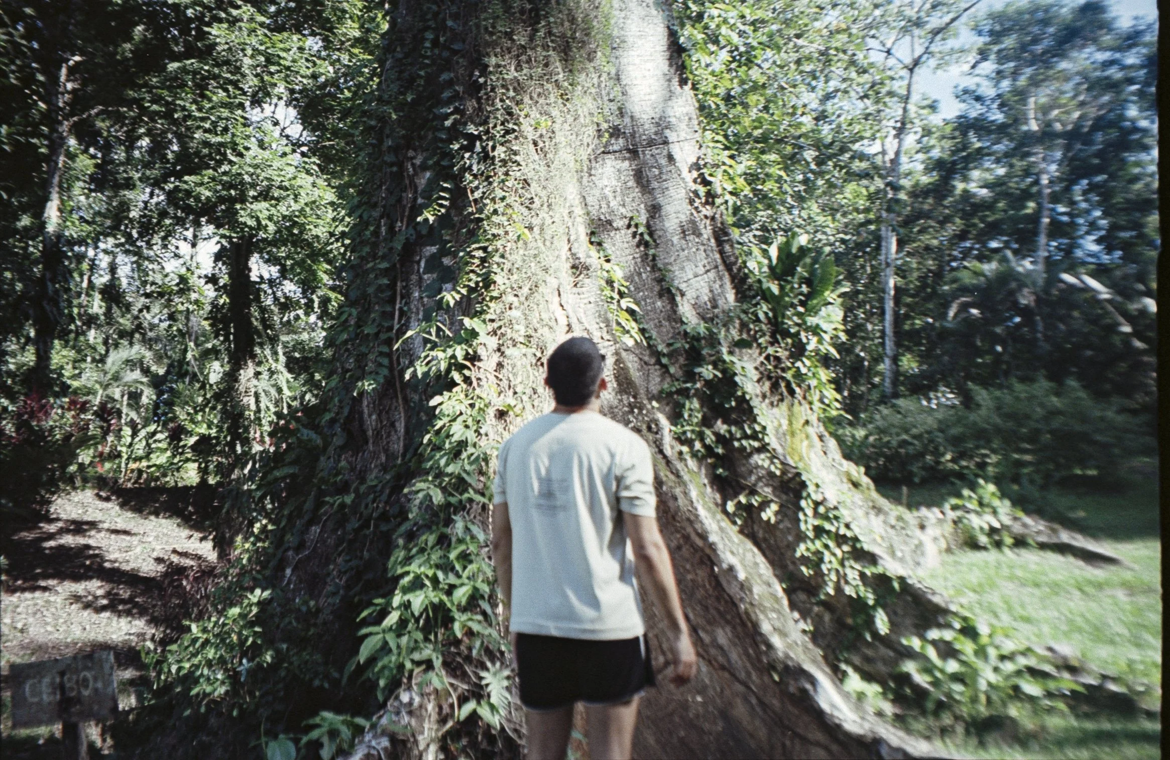 ektar100 15.jpg