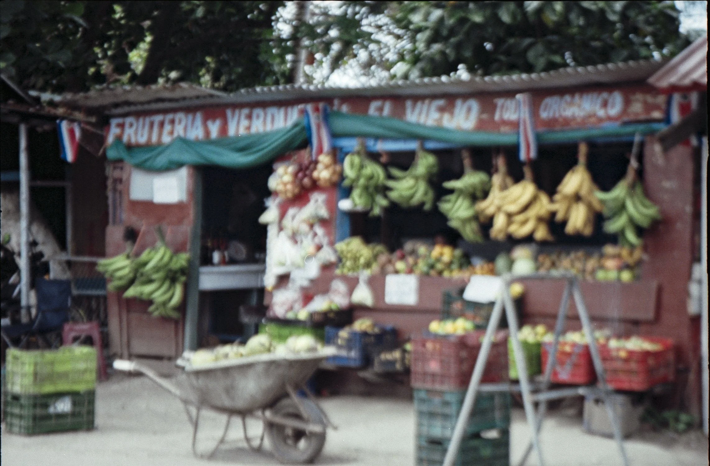 ektar100 8.jpg