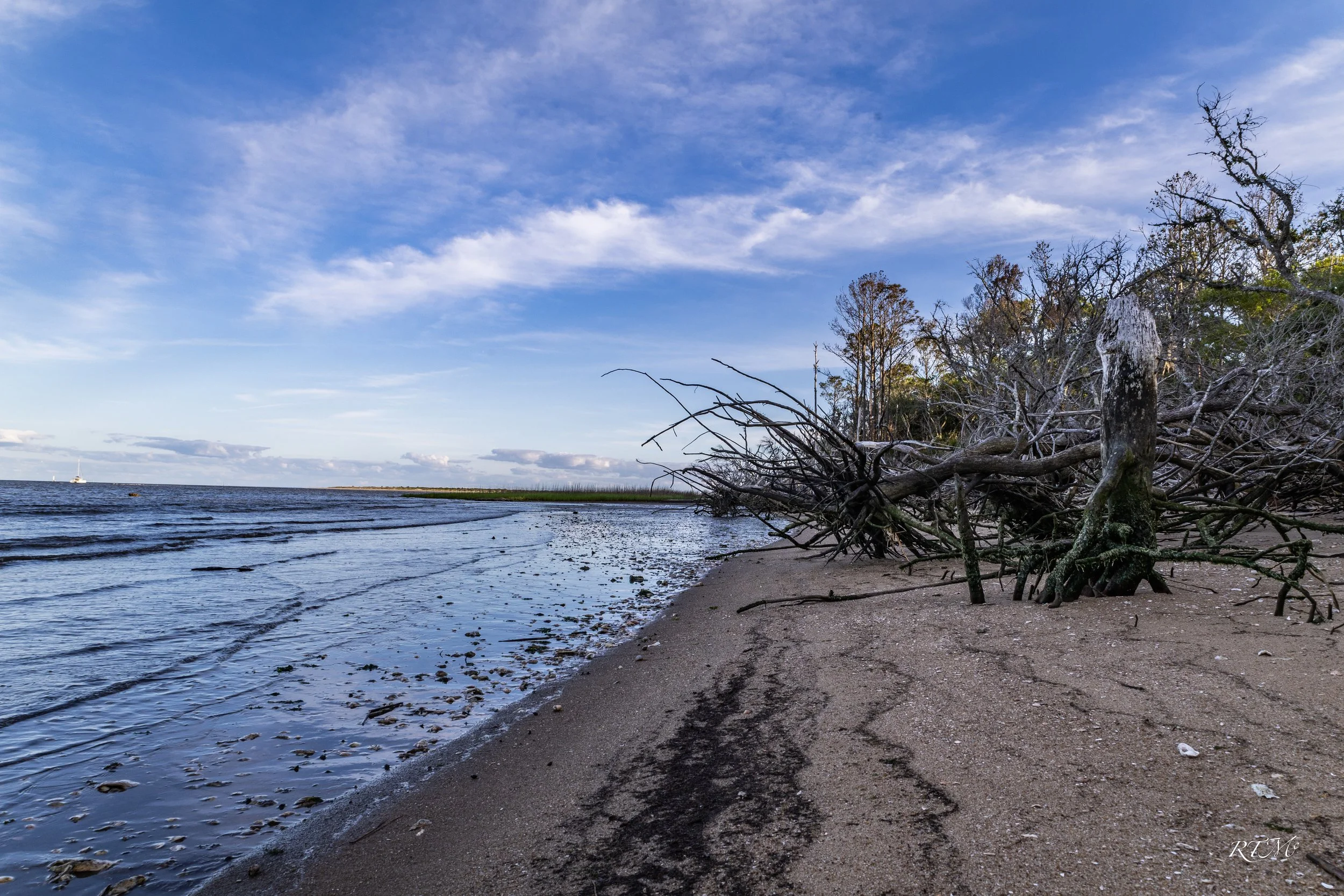 Barrier Island