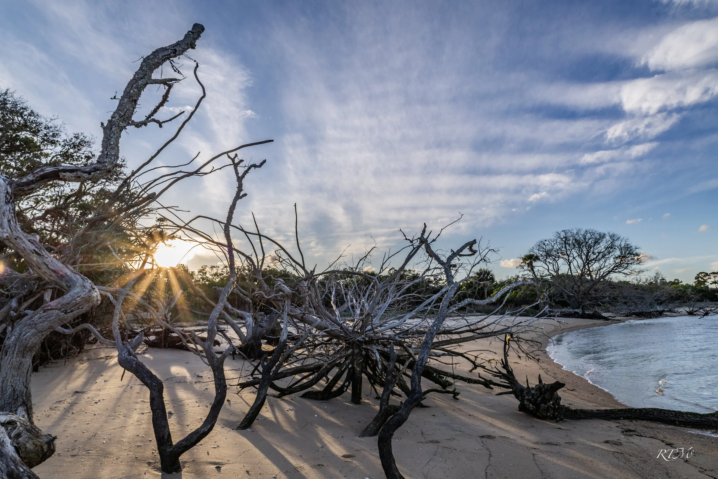 Boneyard