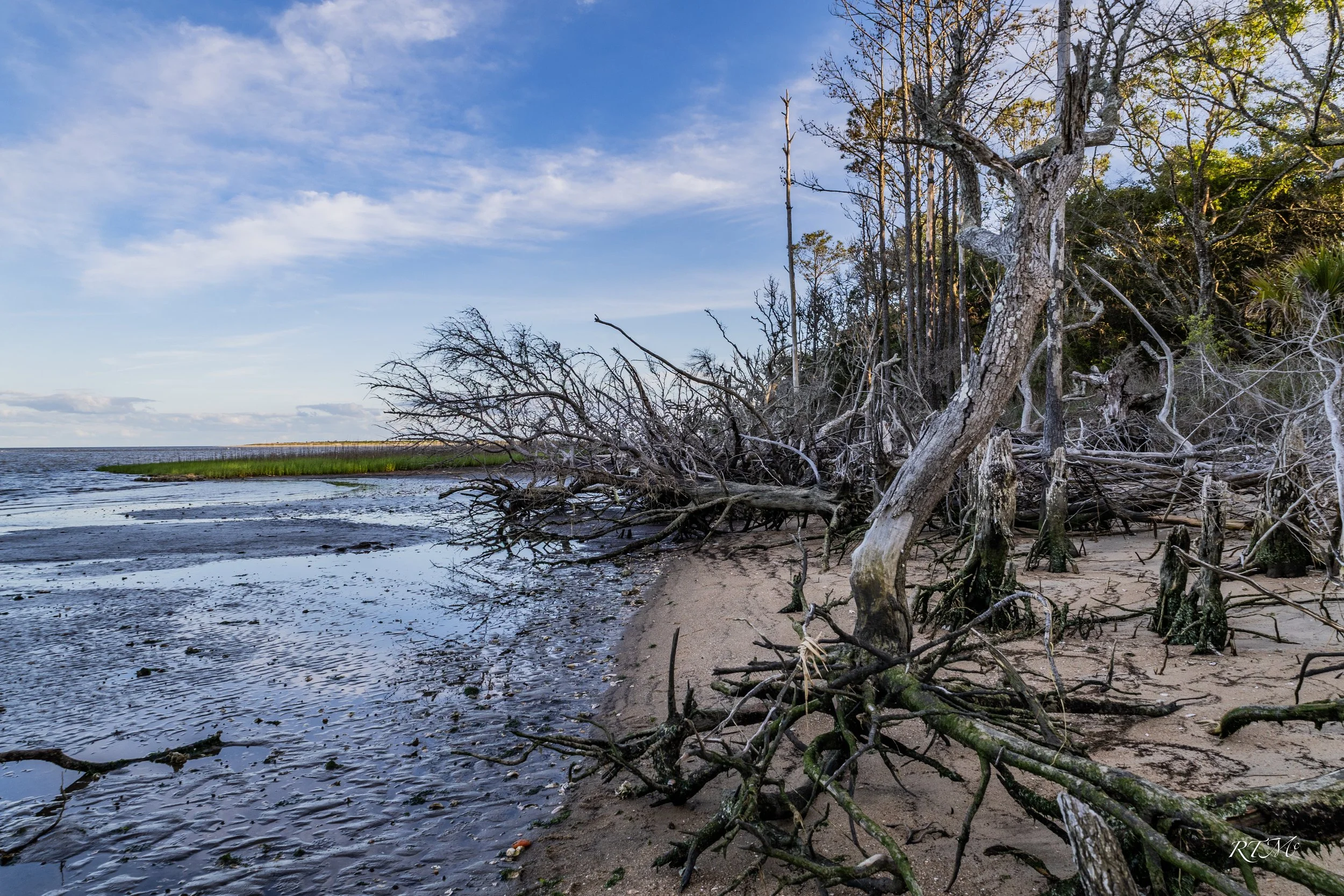 Barrier Island
