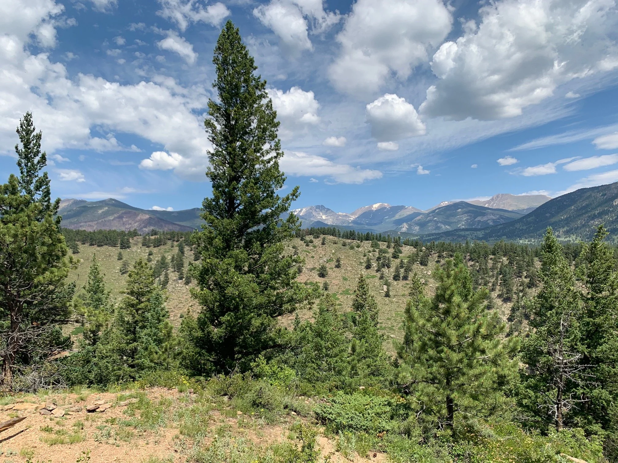 Seeing God’s Design at Home