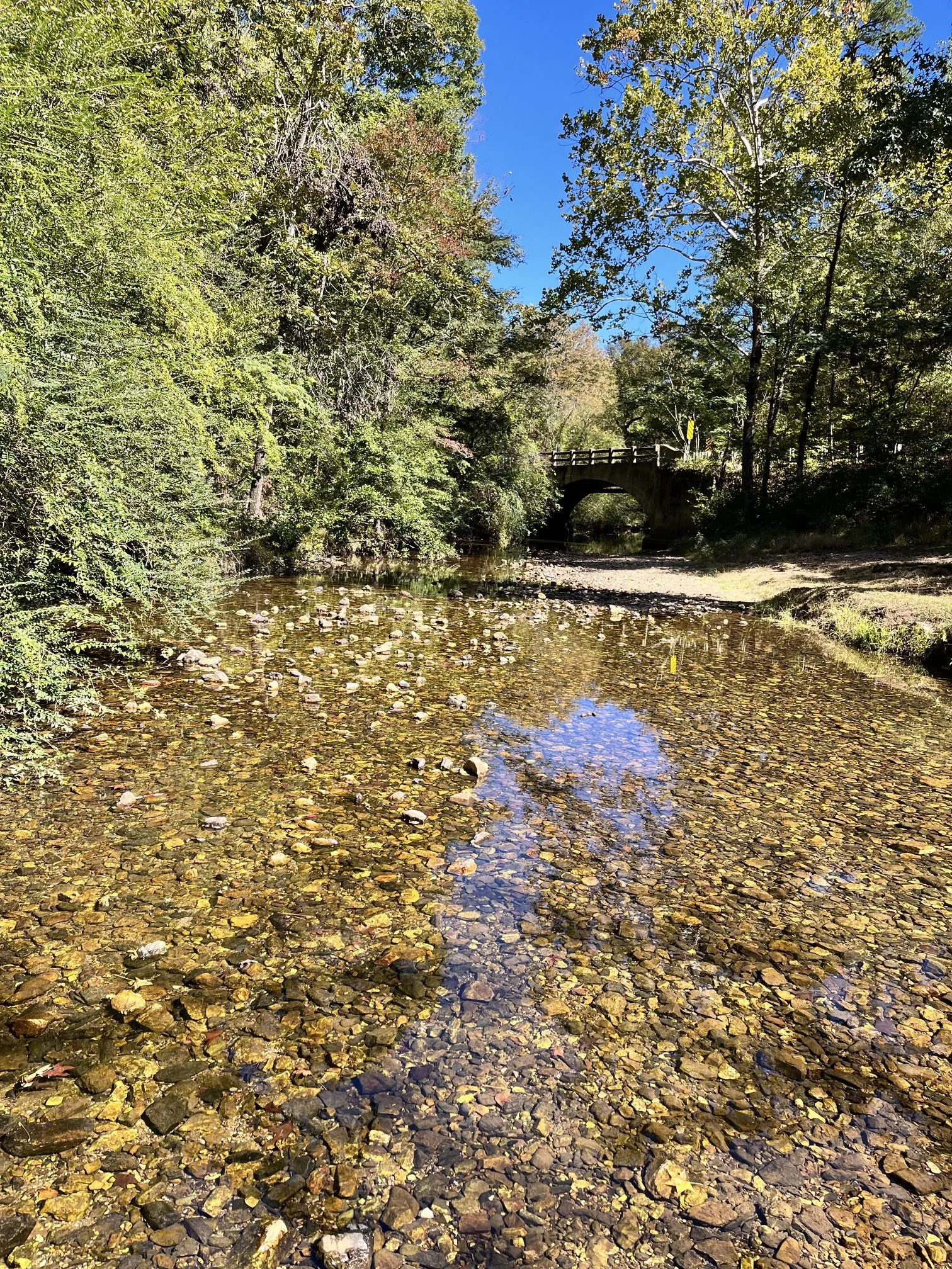 Lessons from the Wilderness