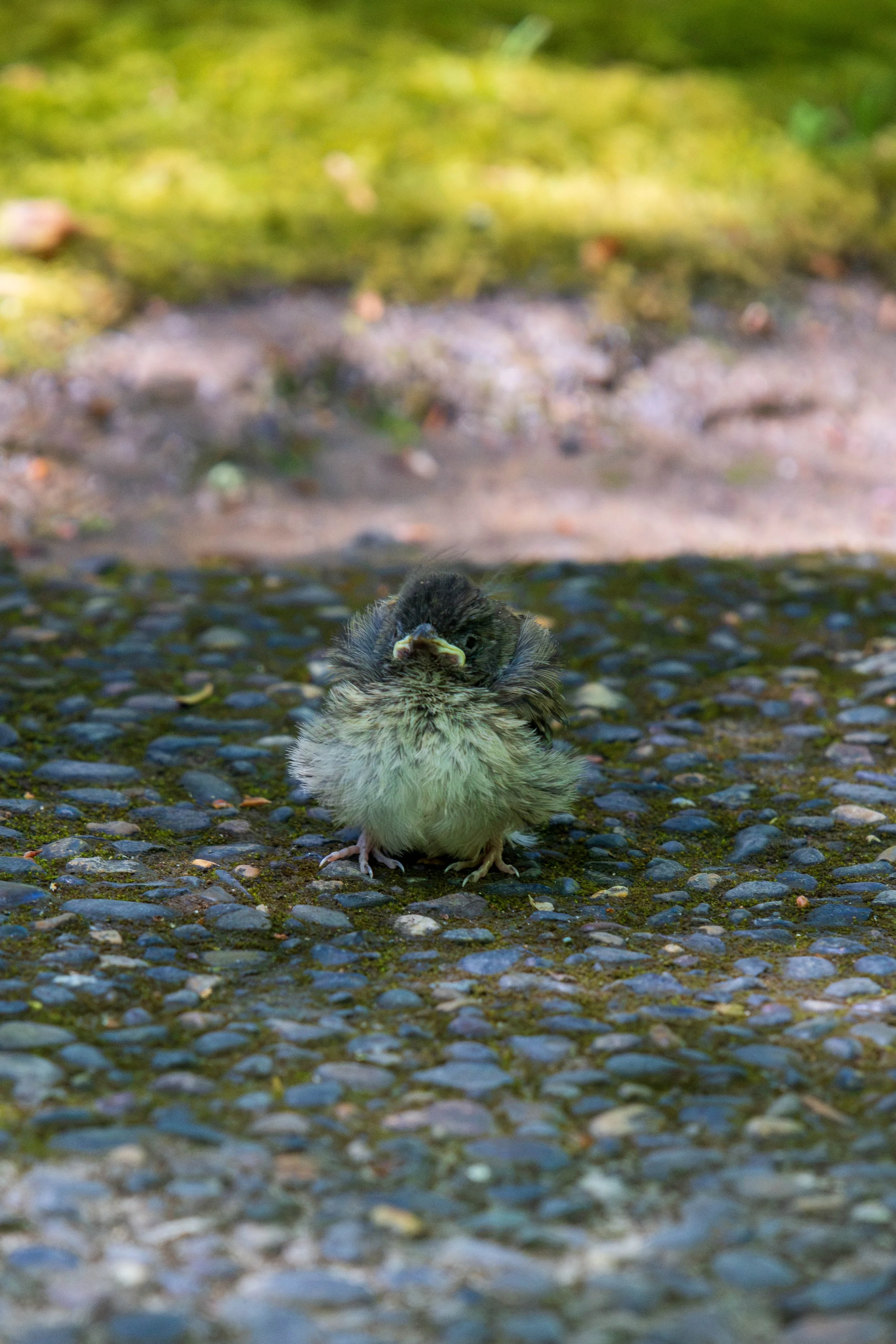 Oregon Trip-59.JPG