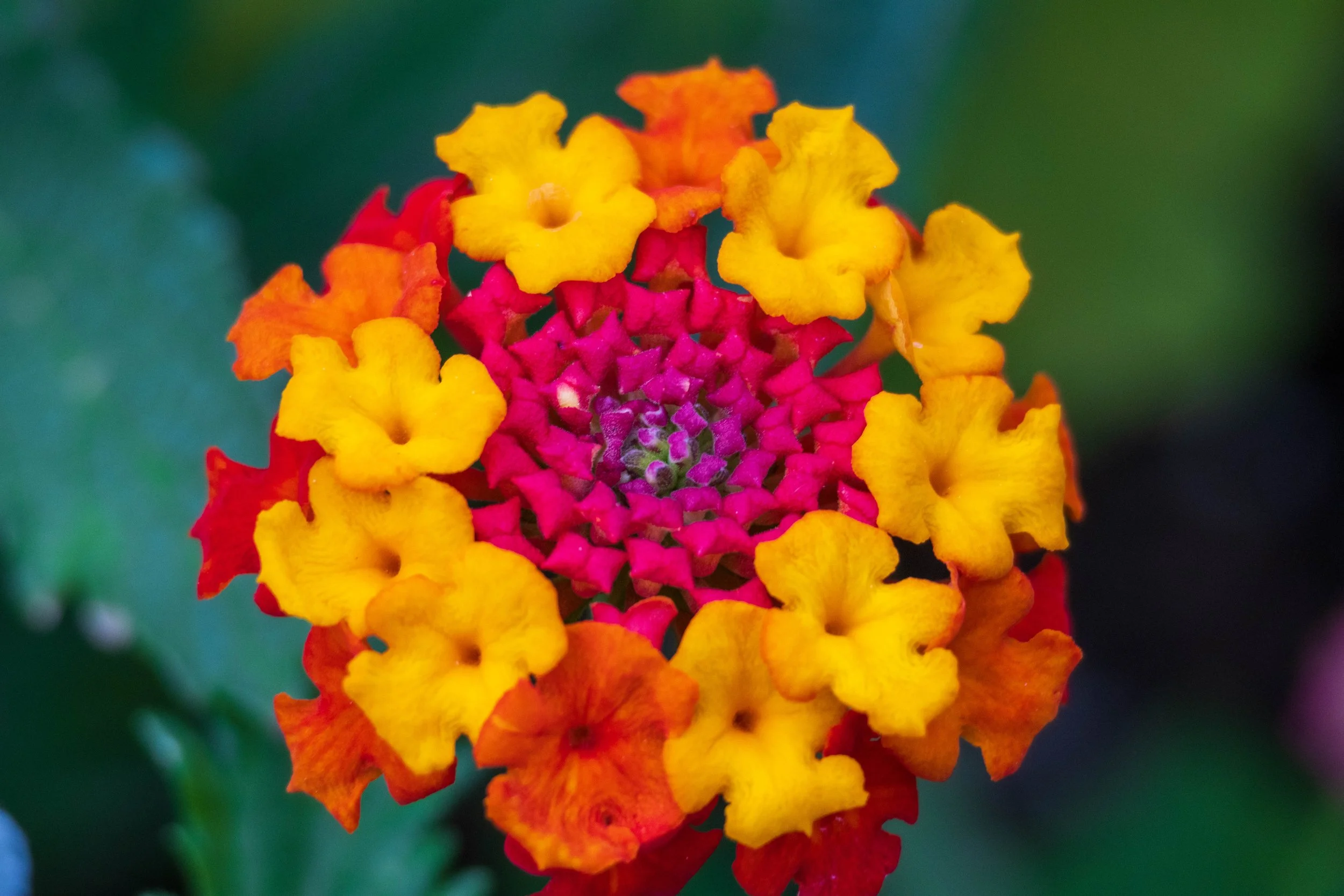 100-400 Normal-5.jpg