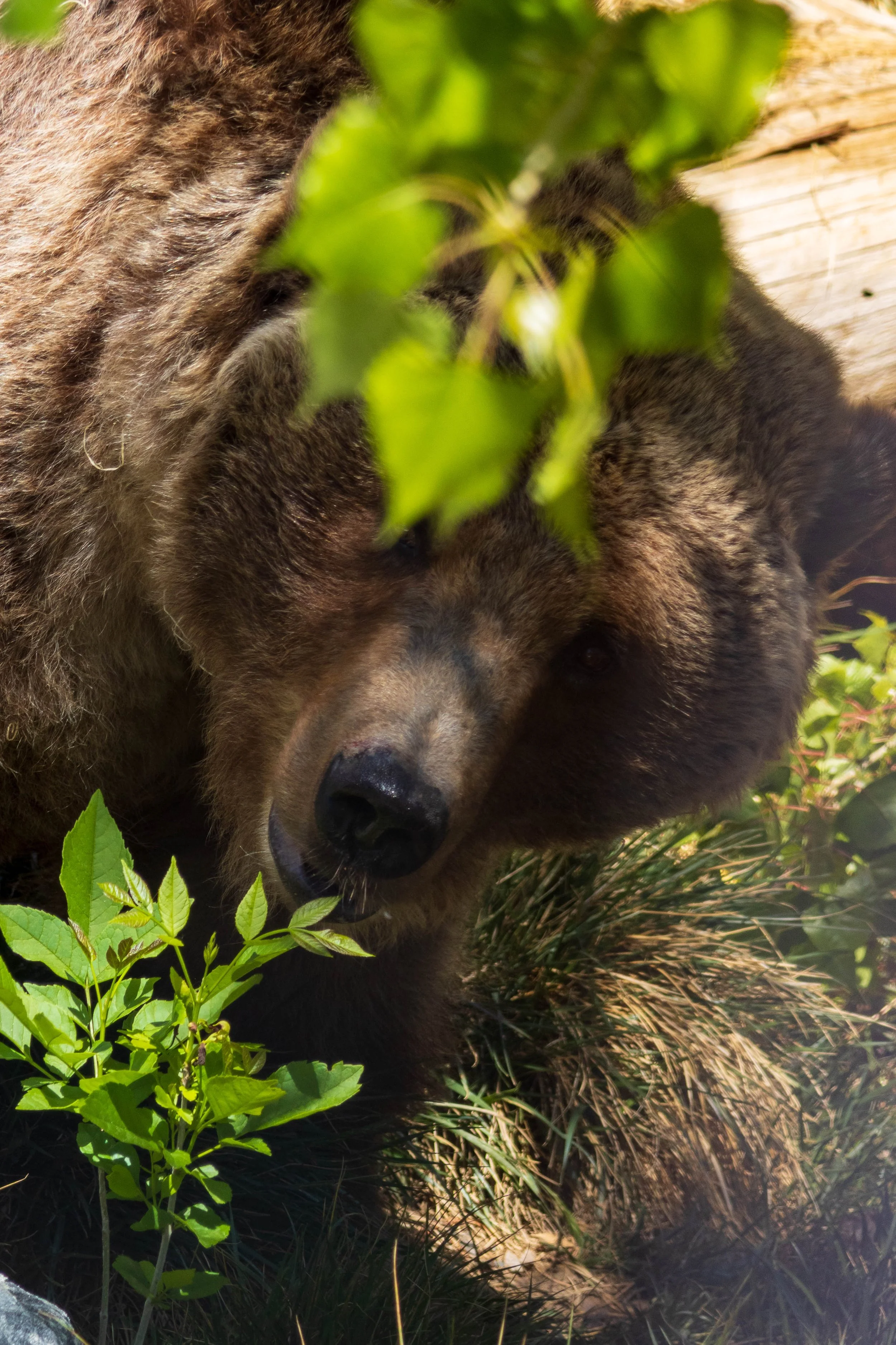 Zoo-29.JPG