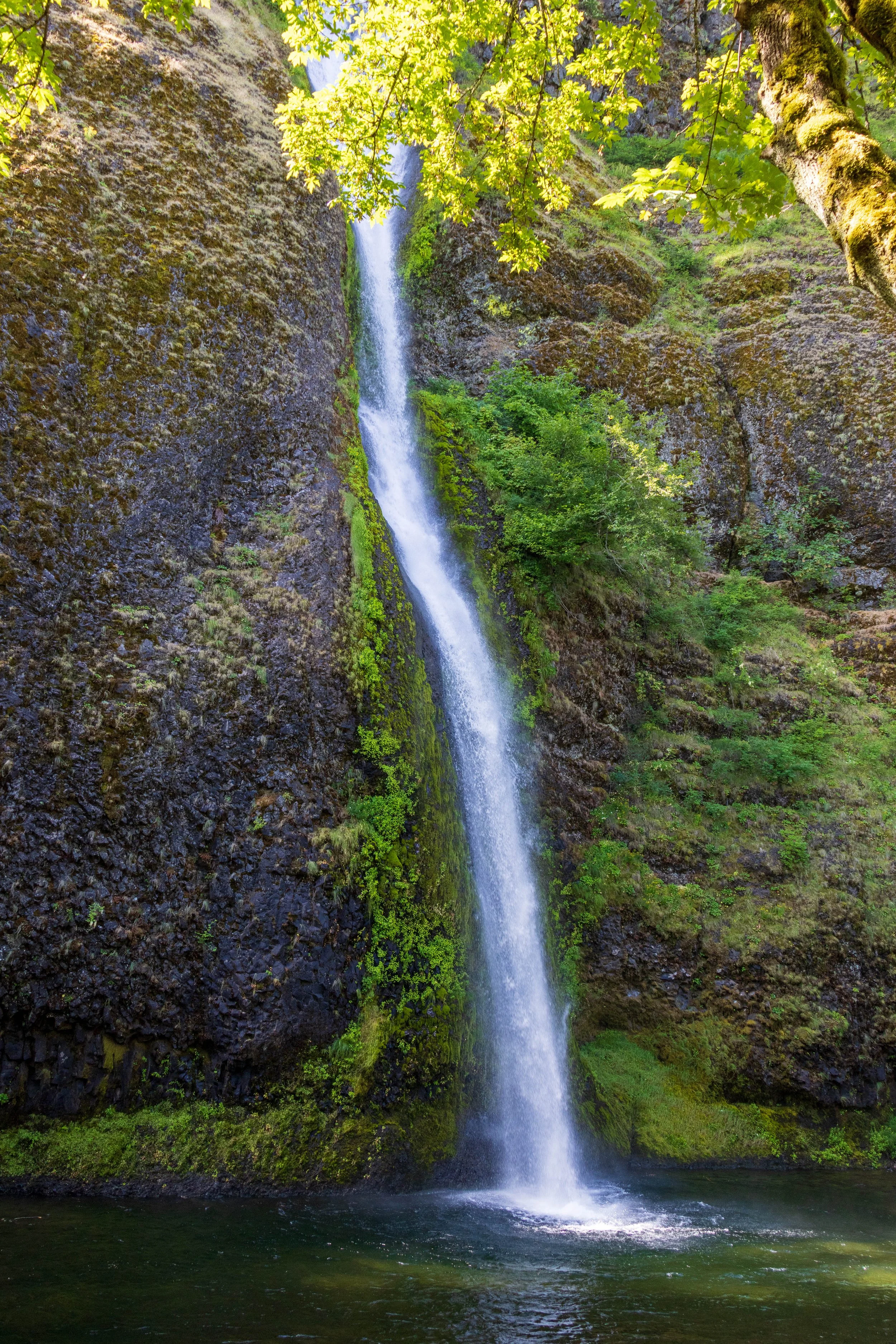 Oregon Trip-8 - Copy.JPG