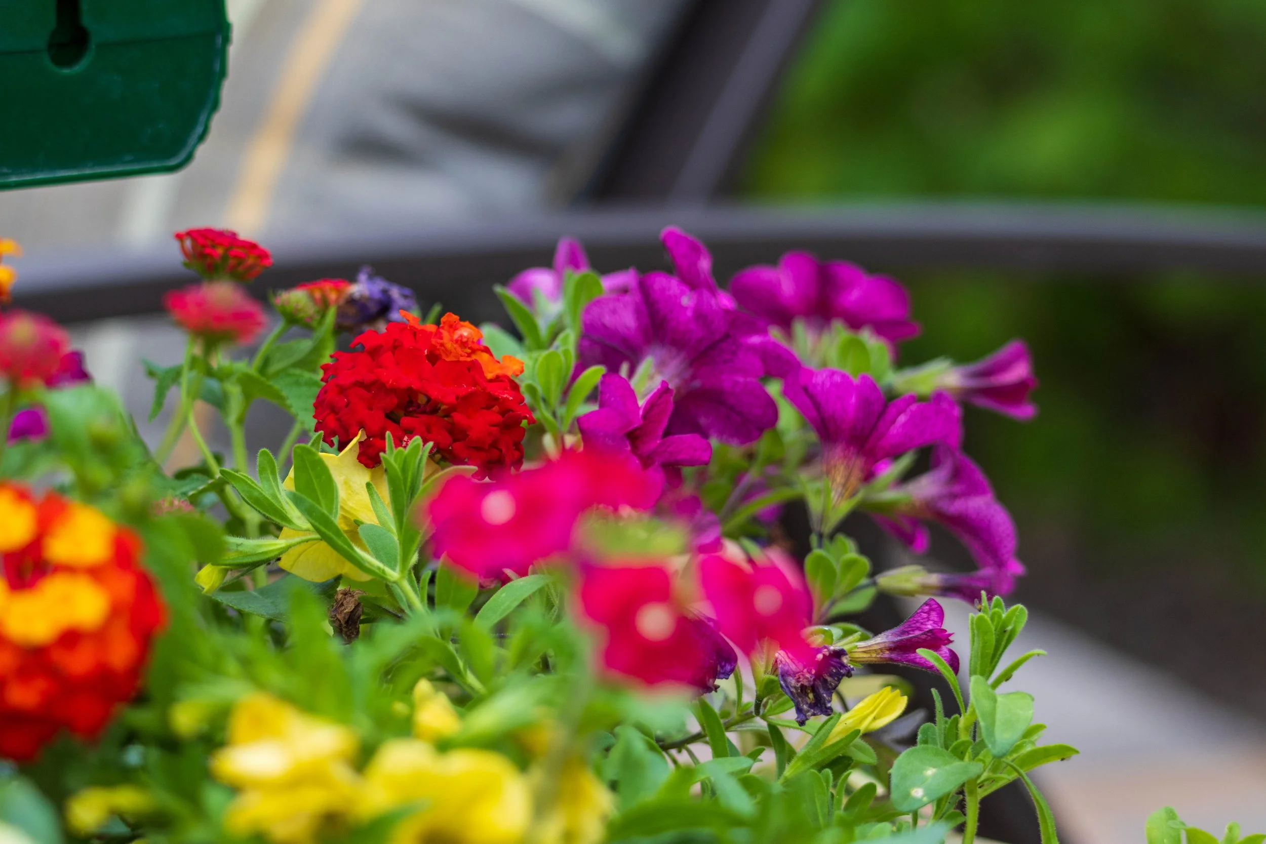 100-400 Normal-6.jpg