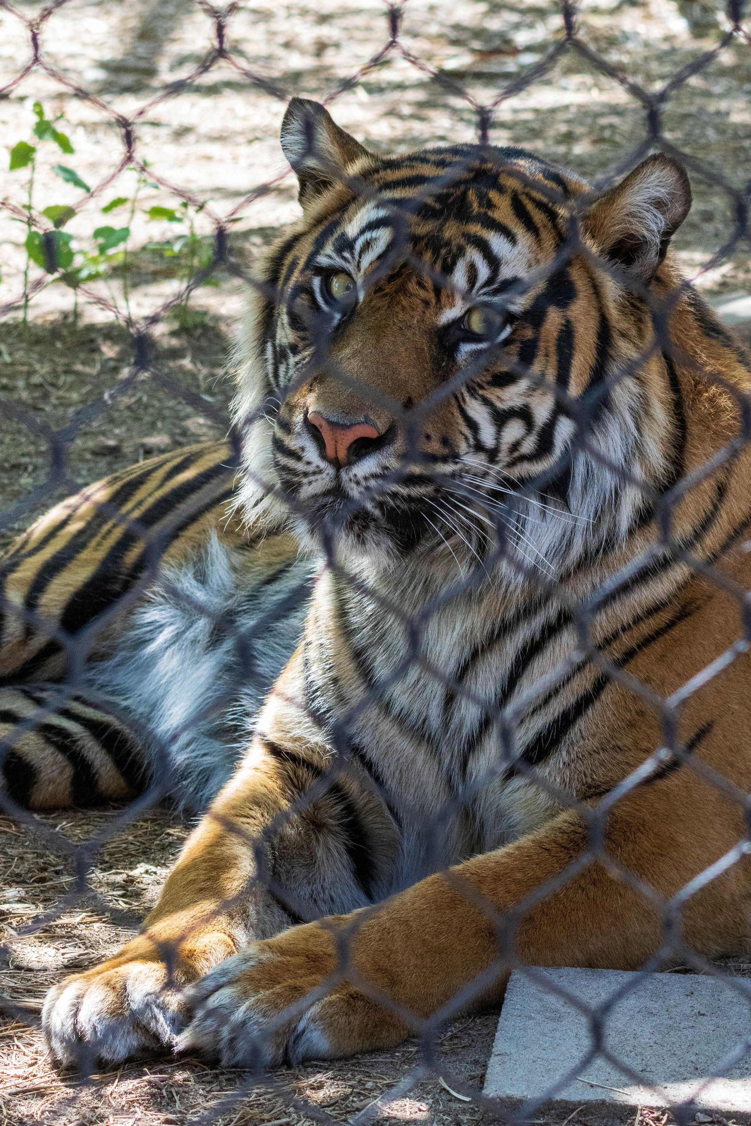 Zoo-112.JPG