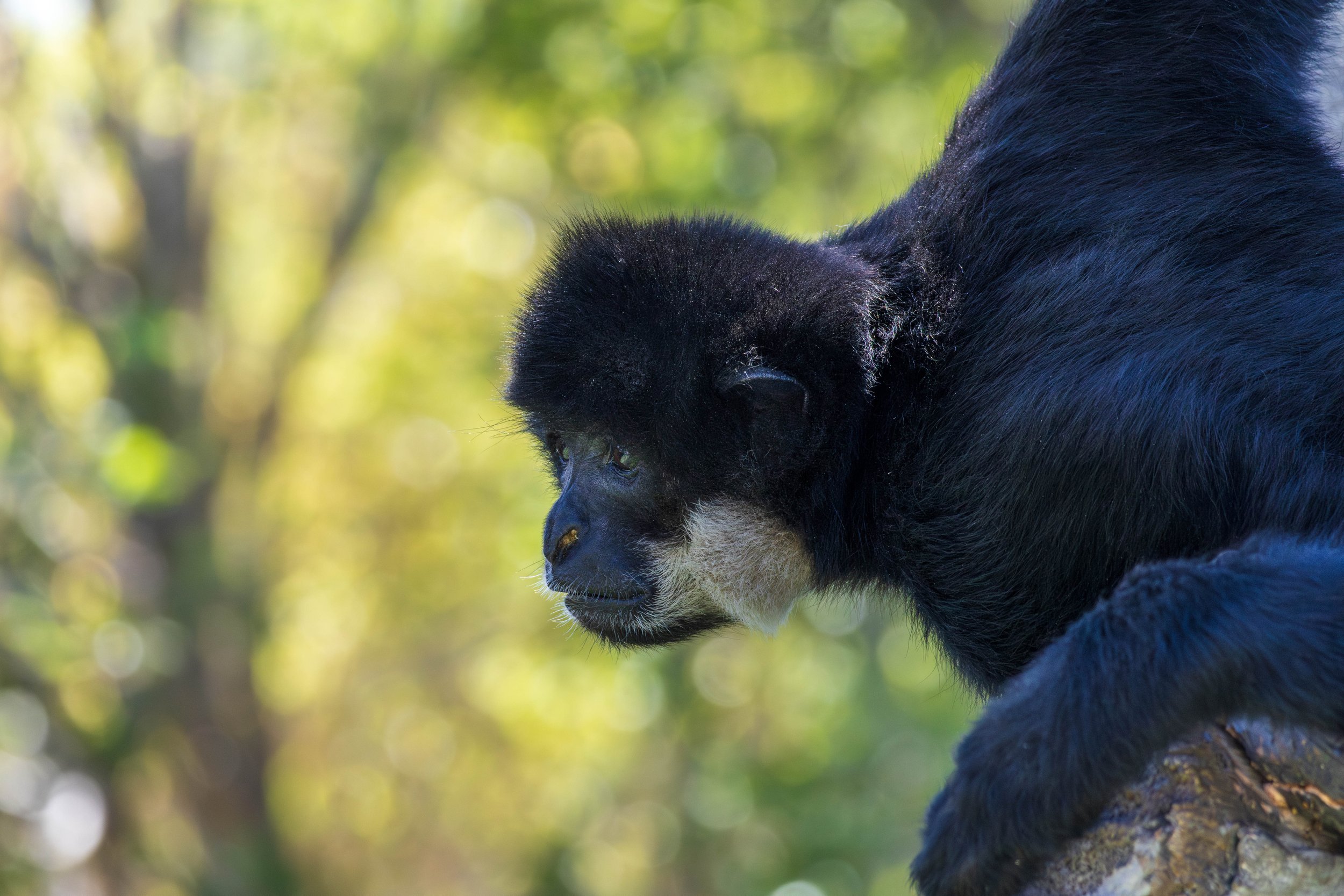 Zoo-96.JPG