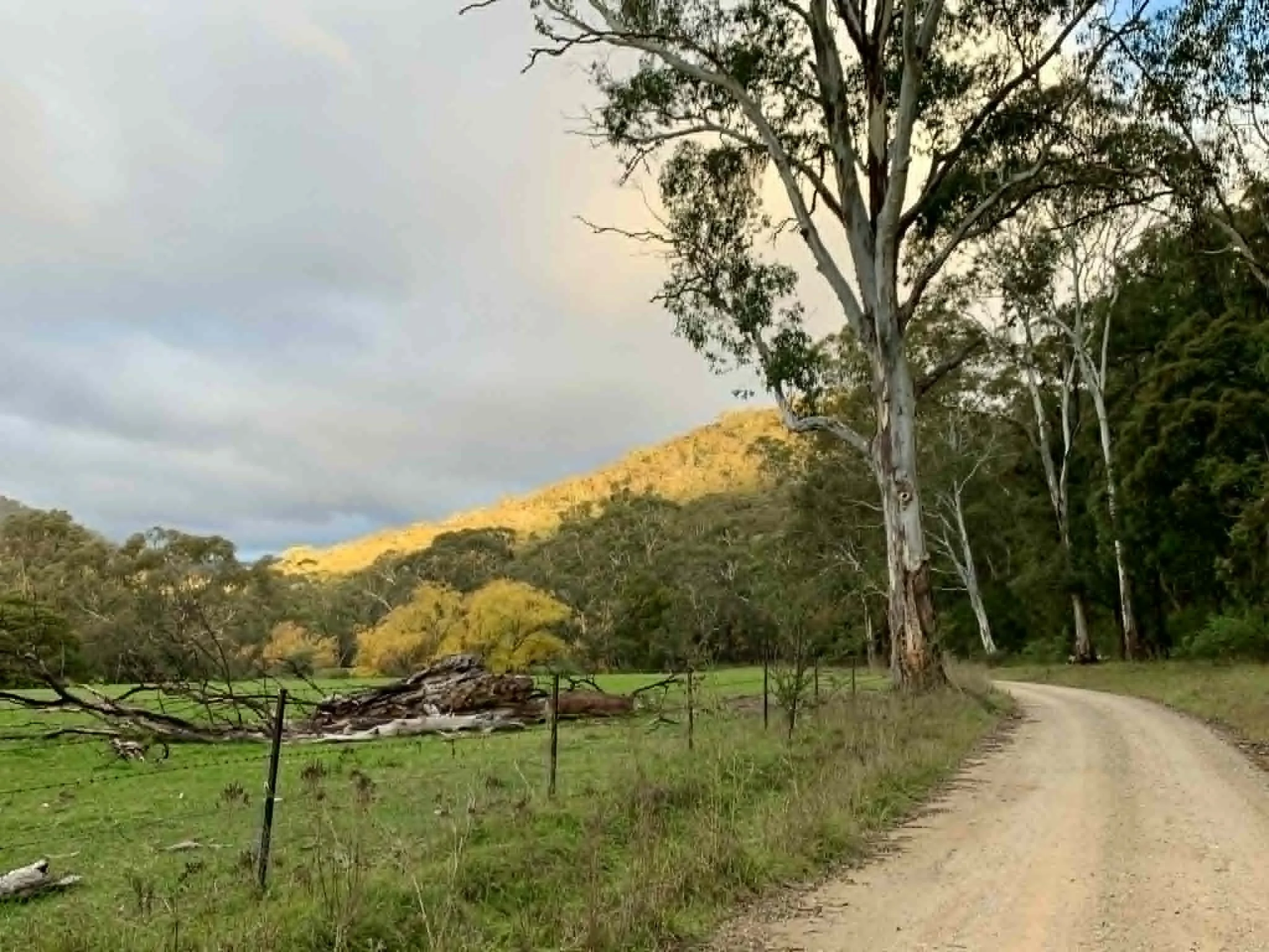 Freeburgh Social Hike