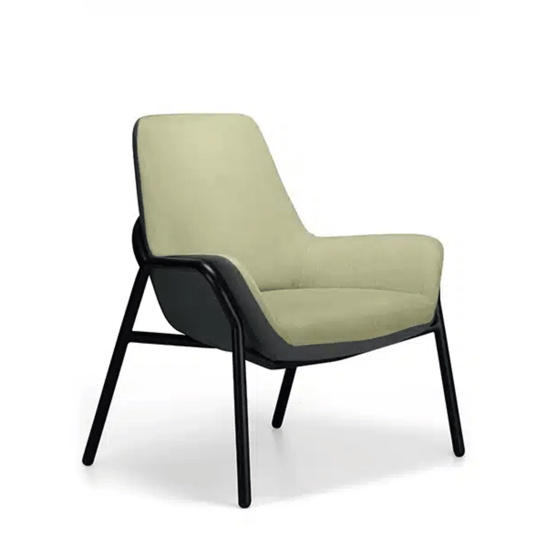 ARCANA Bariatric Chair 2.png