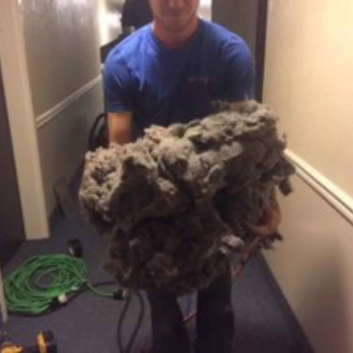 Person holding large clump of dryer lint in a hallway.