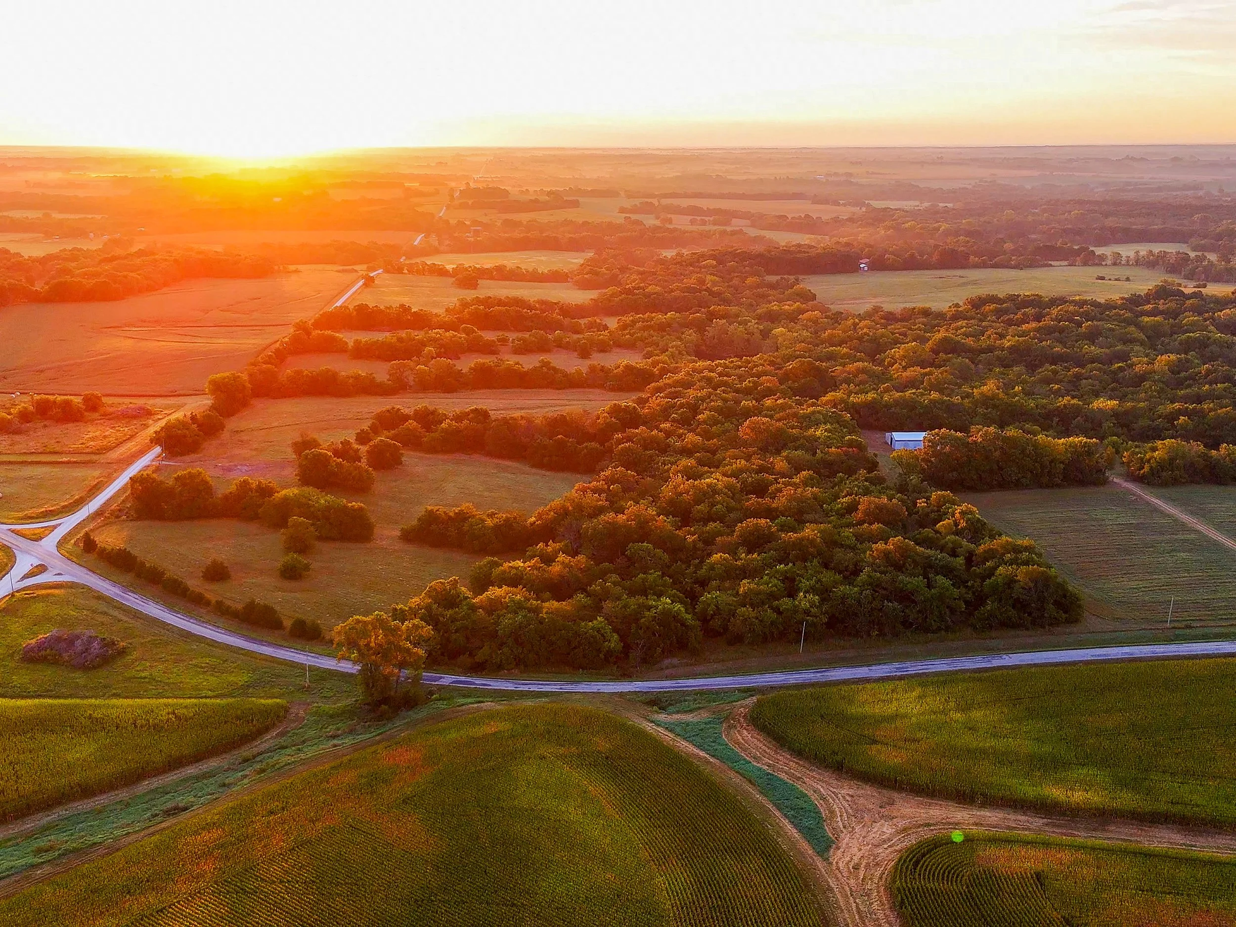 Aerial view of rural farmland at sunset with fields, trees, a winding road, and a few buildings.