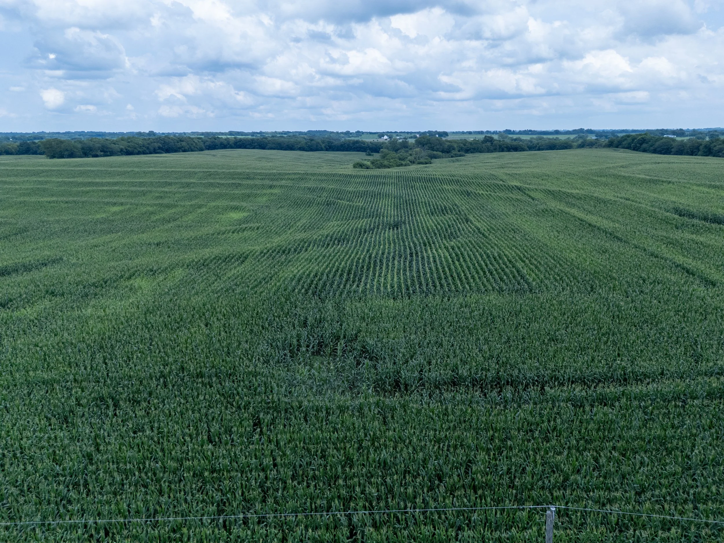 Overhead view of a green farm field with rows of crops, under a partly cloudy sky.