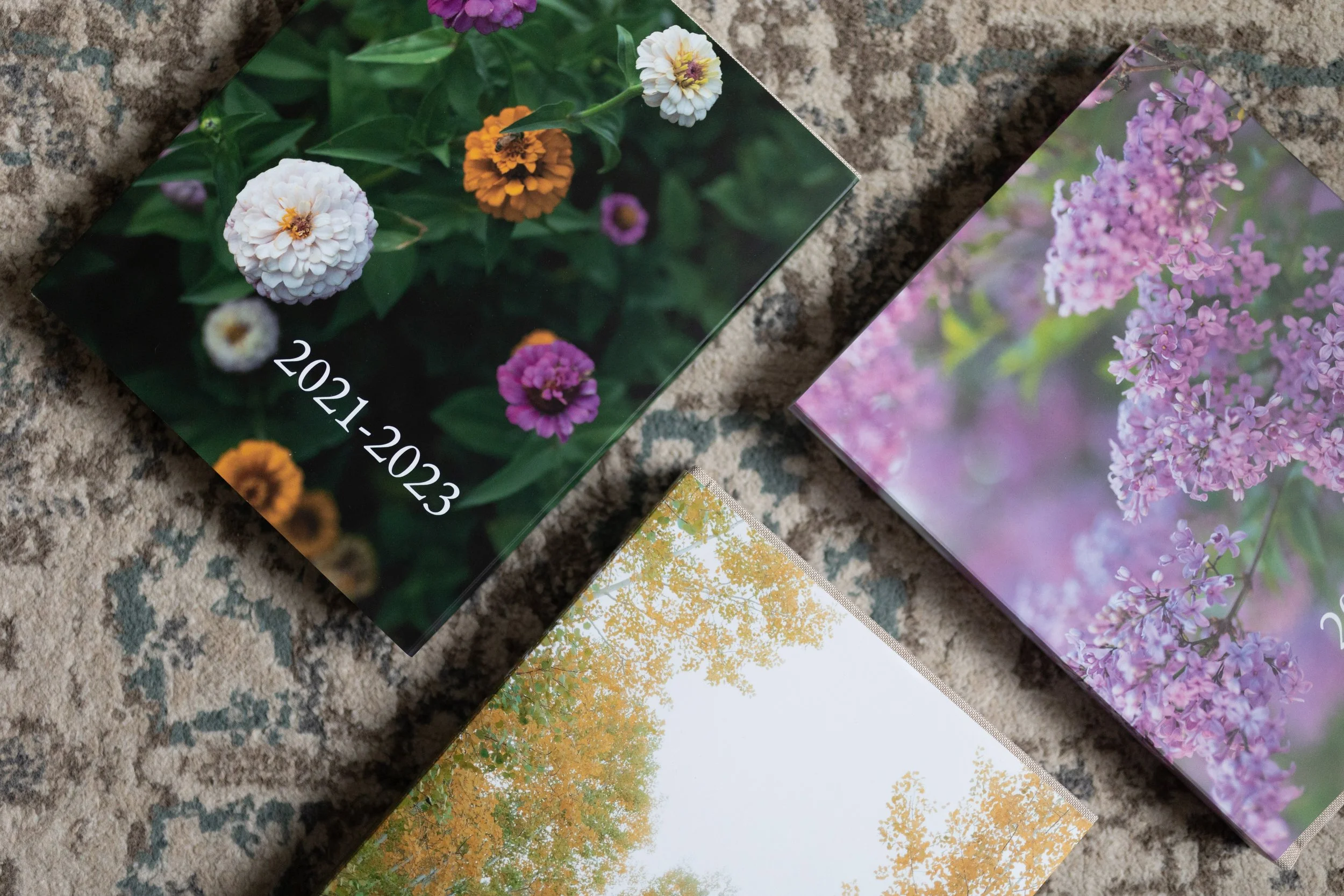 Our Photo Album System