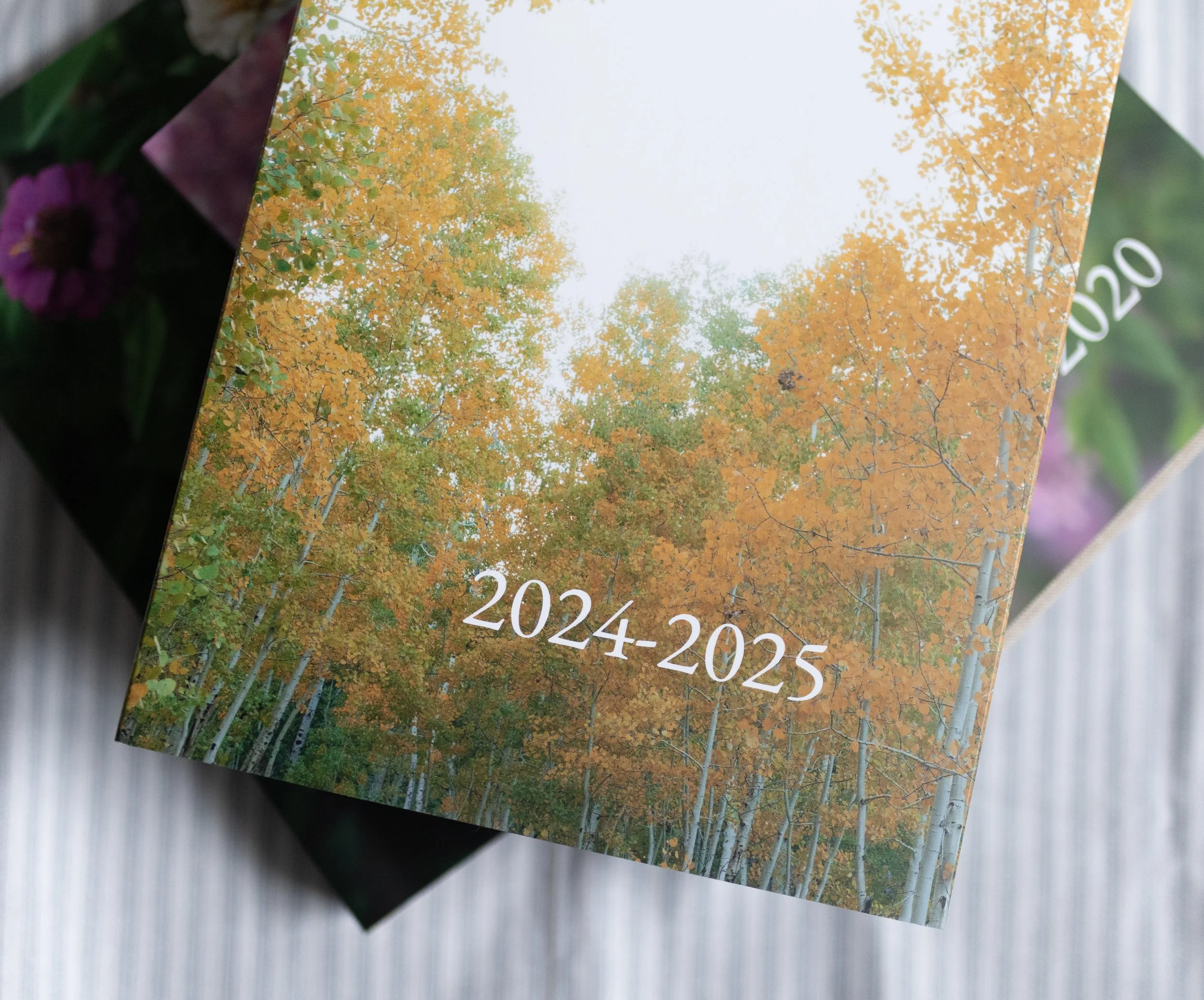 Archive Video Walk-through