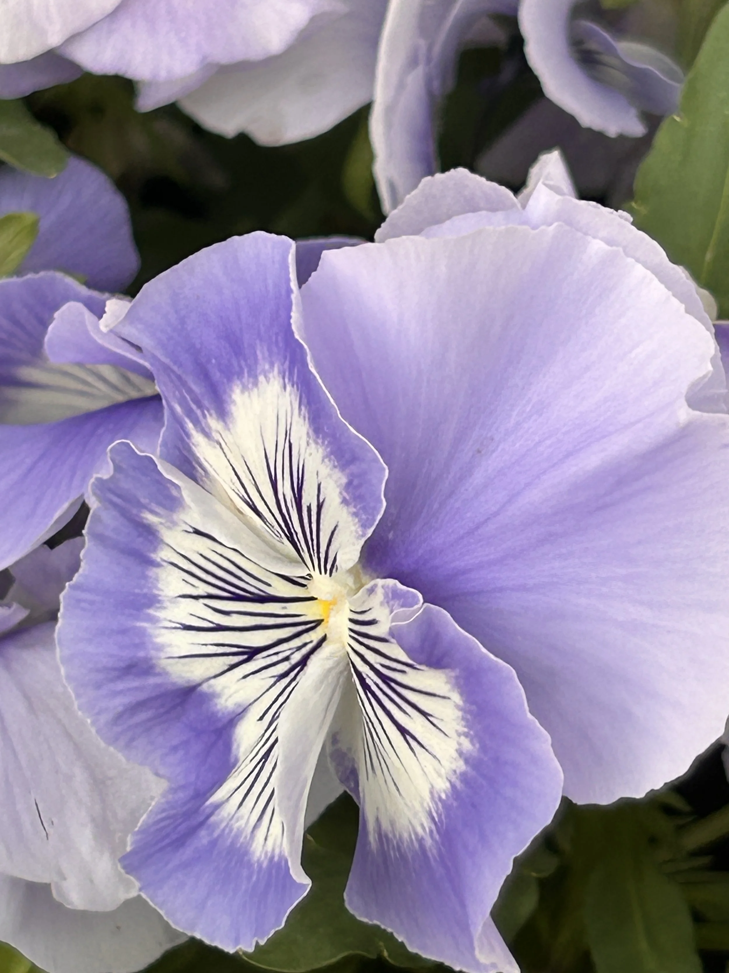 How to Take Better Photos