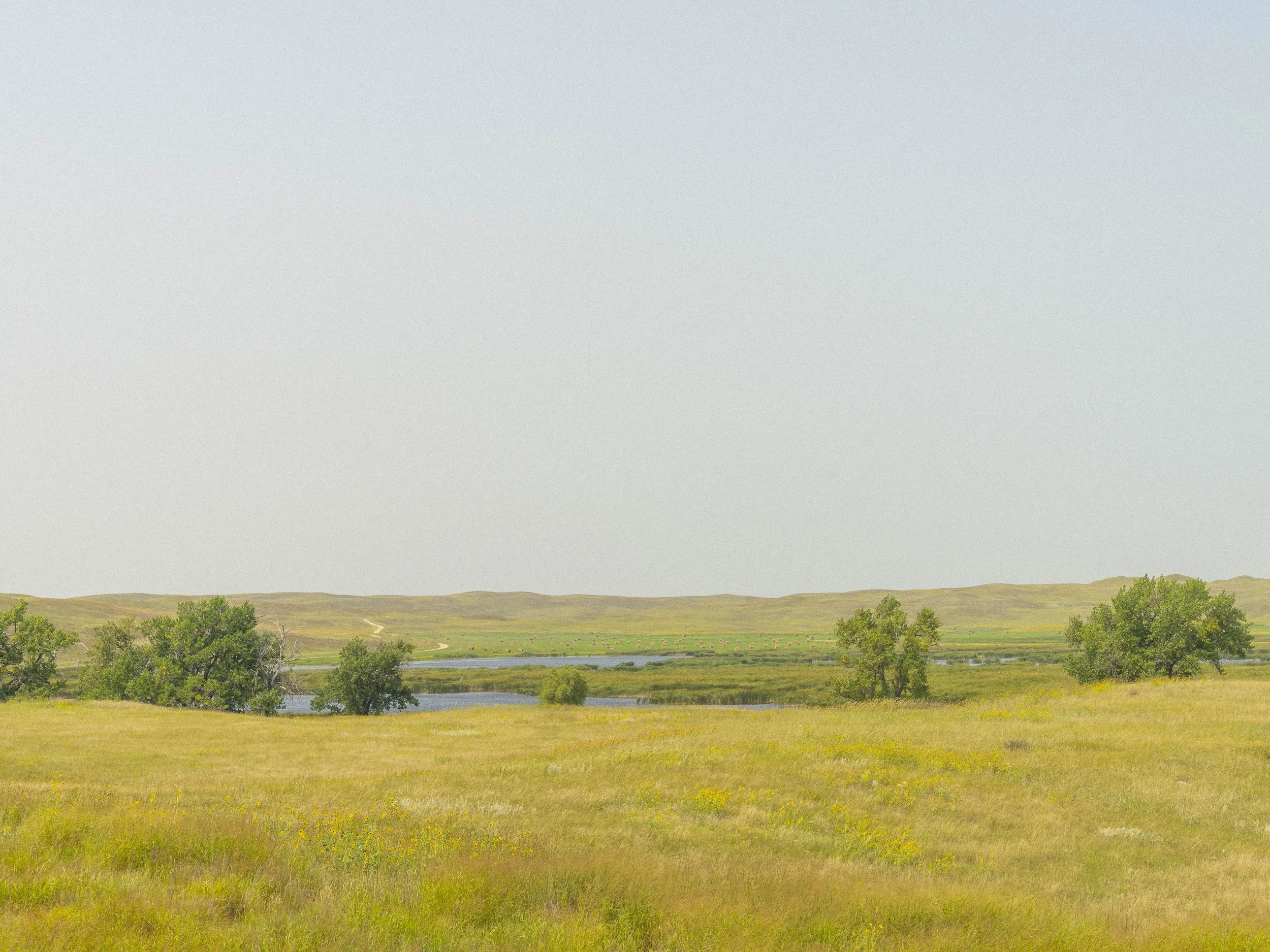 nebraska-sandhills-730.jpg