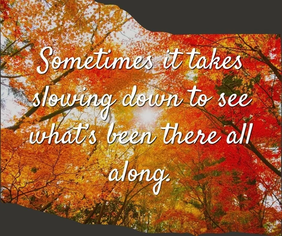 Did you know that the vibrant colors of autumn leaves are actually always there? As the days grow shorter and the green chlorophyll fades, the reds, oranges, and yellows that were hidden beneath begin to shine through.

Just like the trees, we someti