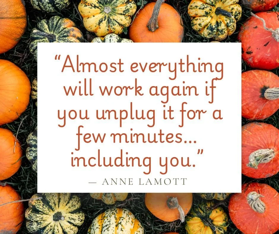 &ldquo;Almost everything will work again if you unplug it for a few minutes&hellip; including you.&rdquo; &mdash; Anne Lamott

As we step into a new week, remember: productivity isn&rsquo;t just about pushing harder &mdash; it&rsquo;s about knowing w