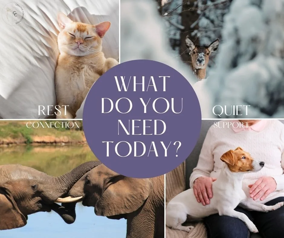 Sometimes we move through the day without pausing to ask ourselves what we actually need.
But our minds and bodies are usually giving us signals &mdash; we just don&rsquo;t always slow down long enough to notice.

Maybe you need rest.
Maybe you need 