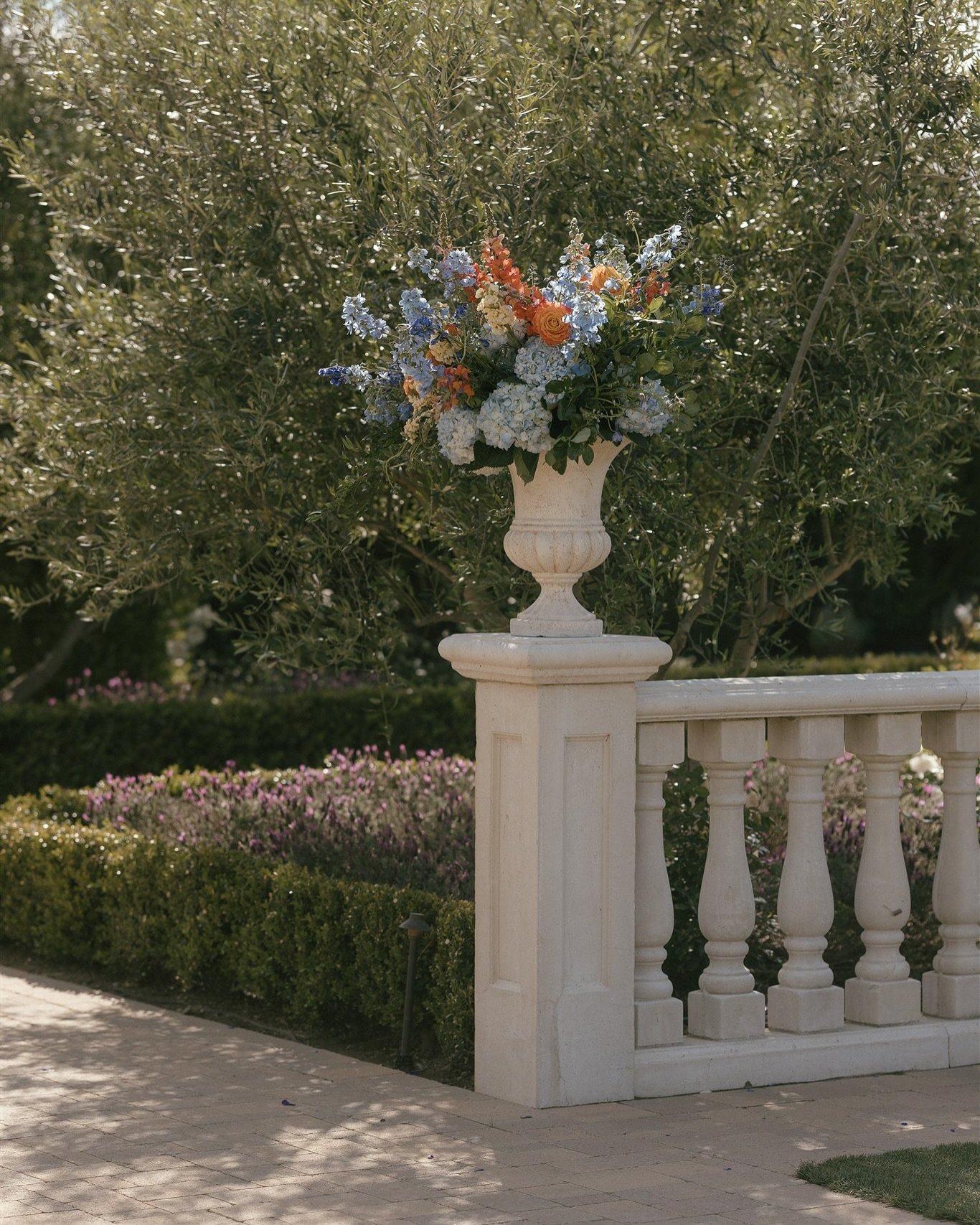 ❣️

planning- @ampersandweddingsandevents 
venue- @tuscanroseranch 

Keyswords: (los Angeles wedding photographer, santa barbara elopement photographer, Ventura wedding photographer, San Diego wedding photographer, Moorpark wedding photographer)