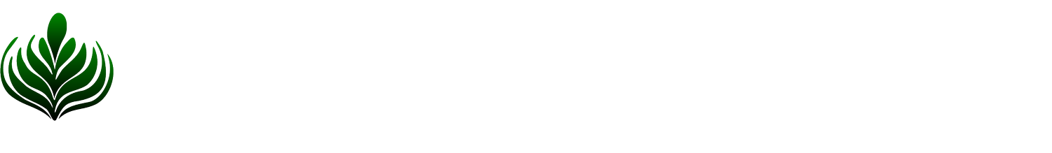 Chai Ventures